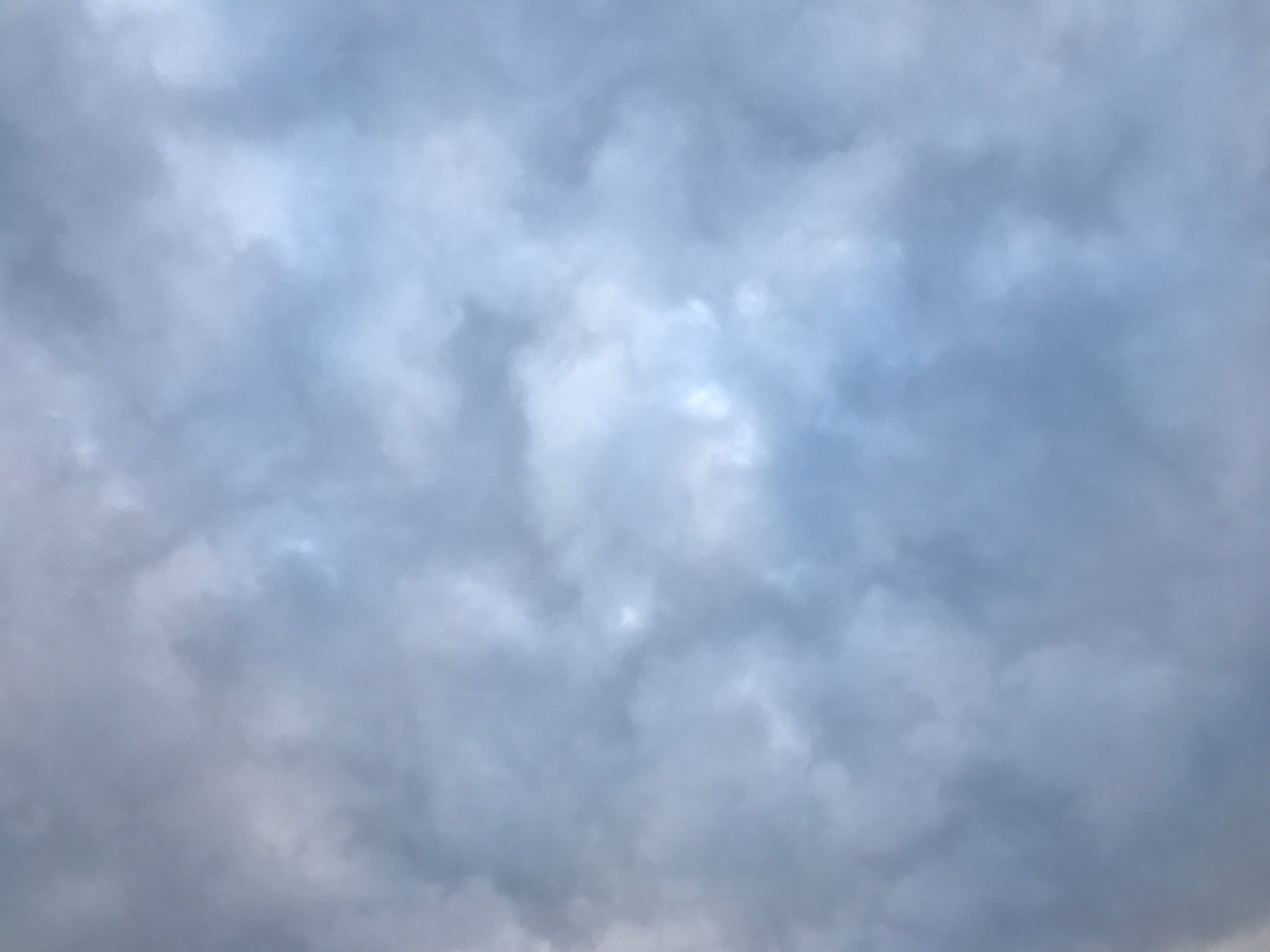 20170501-194513.jpg