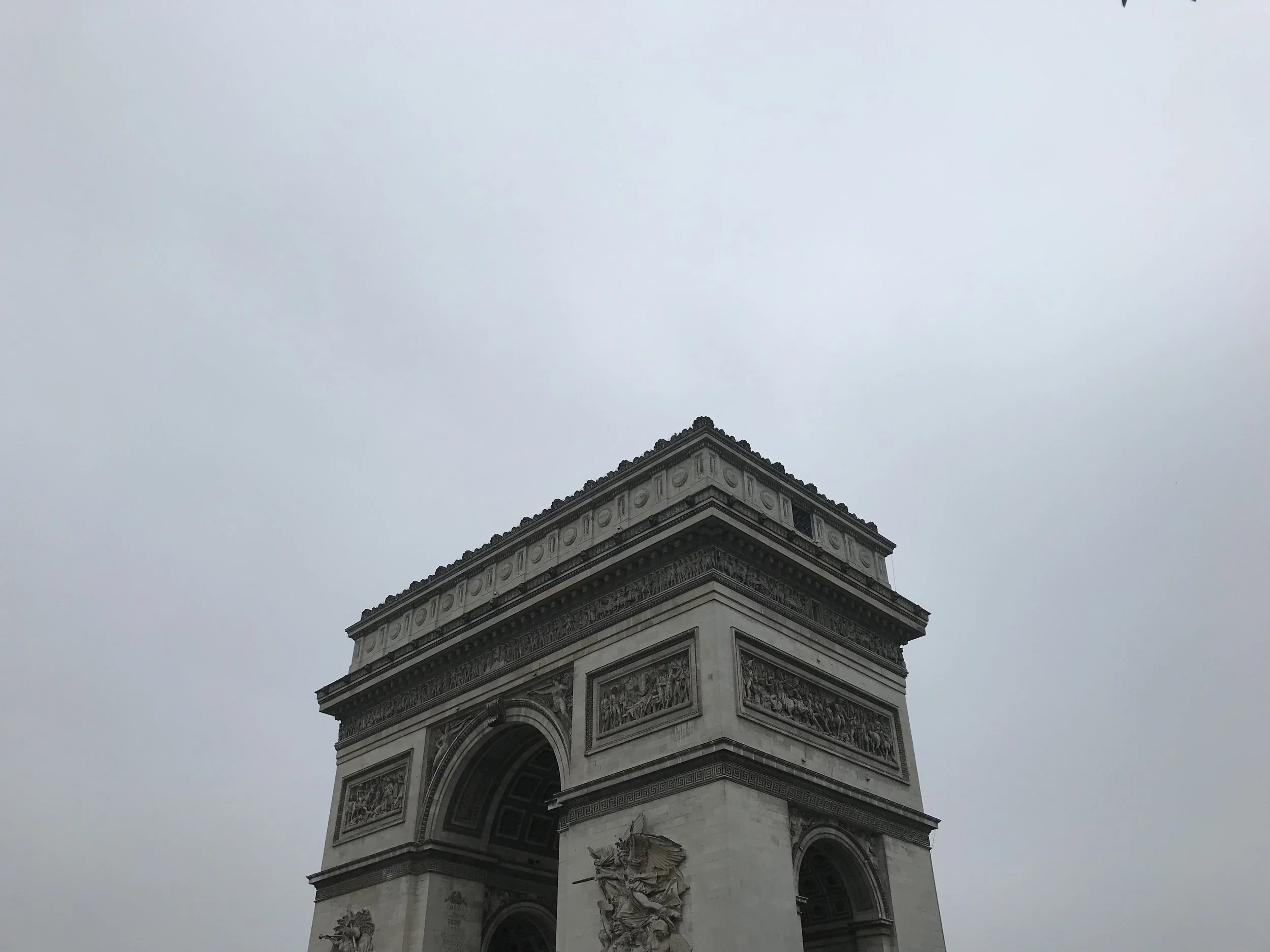 IMG_6264.jpg