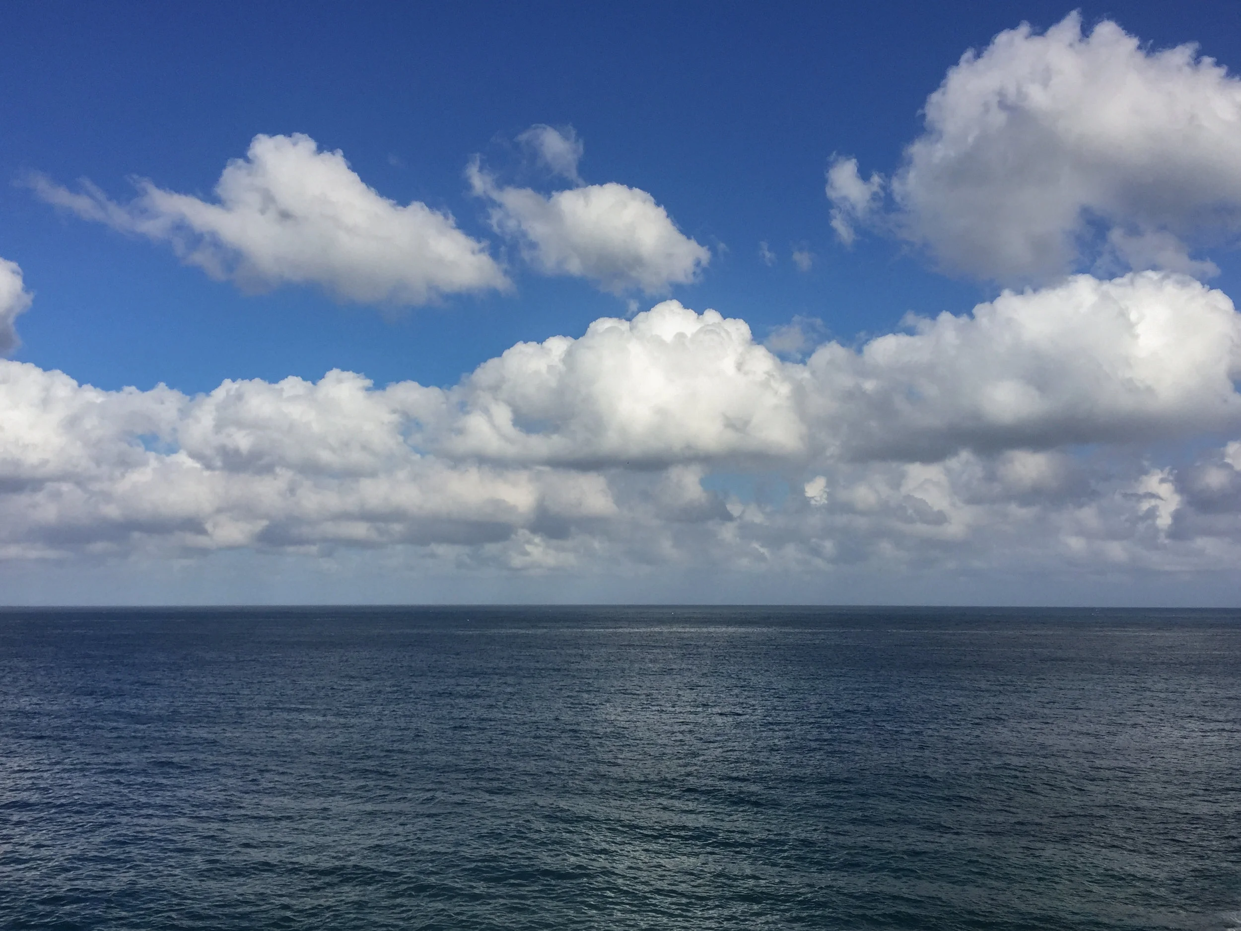 20151221-100739.jpg