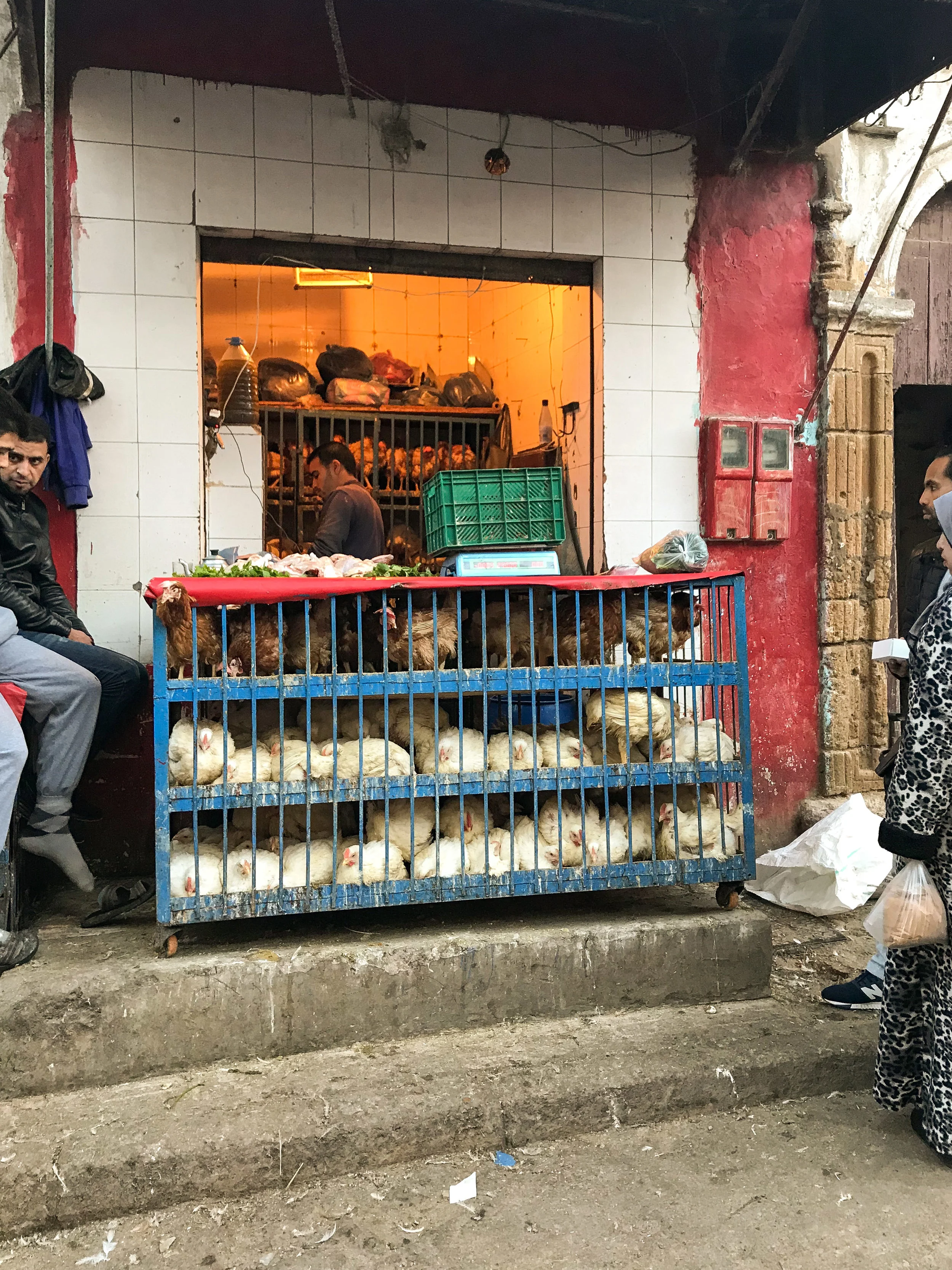 20180215-180443.jpg