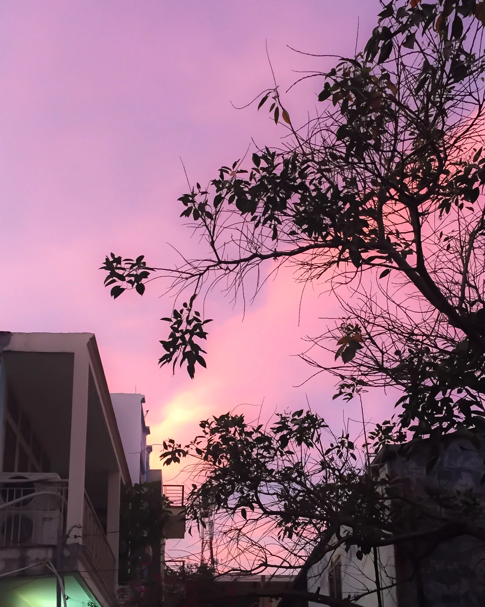 20150308-181427.jpg