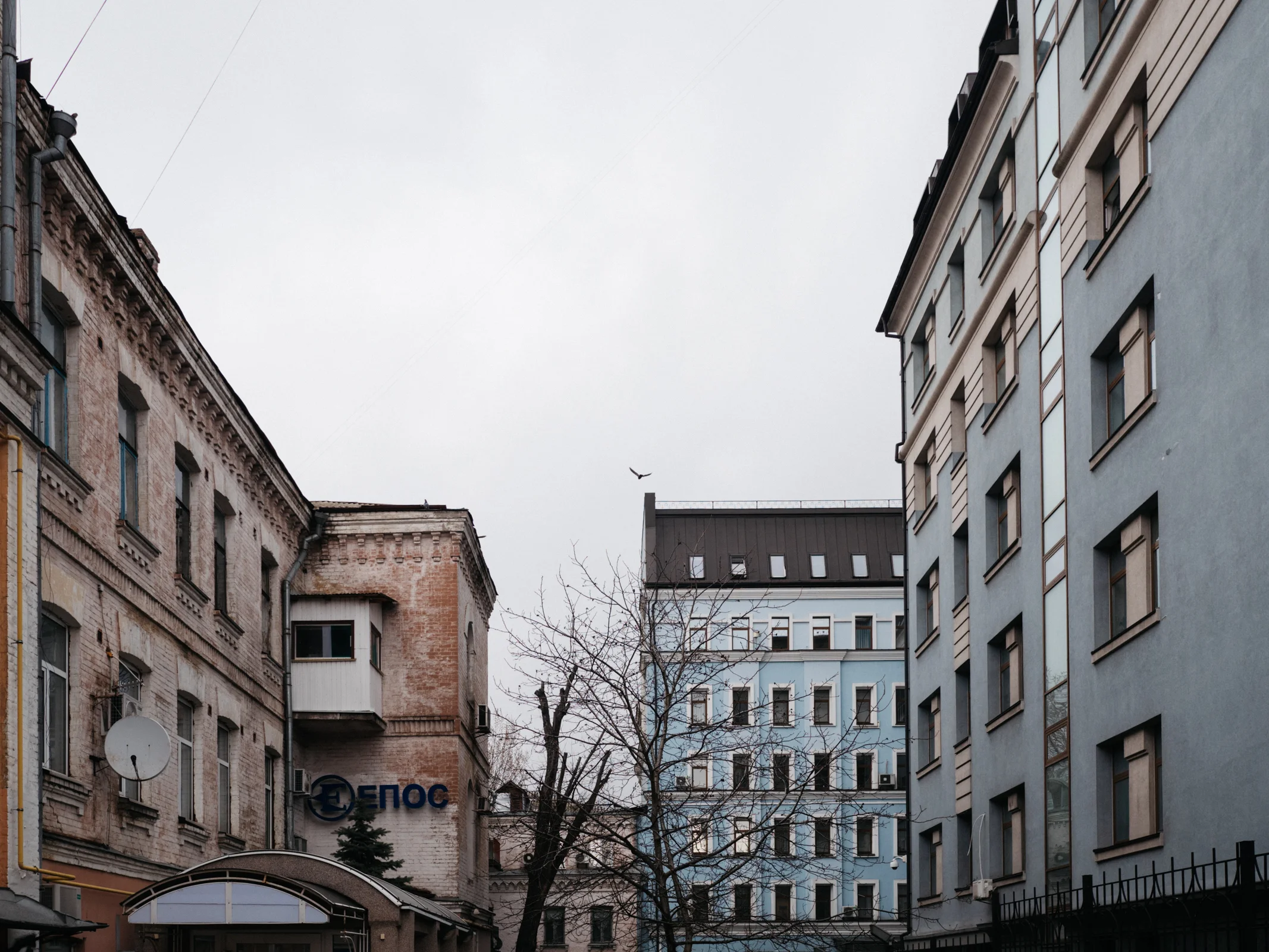 20190327_135623.jpg