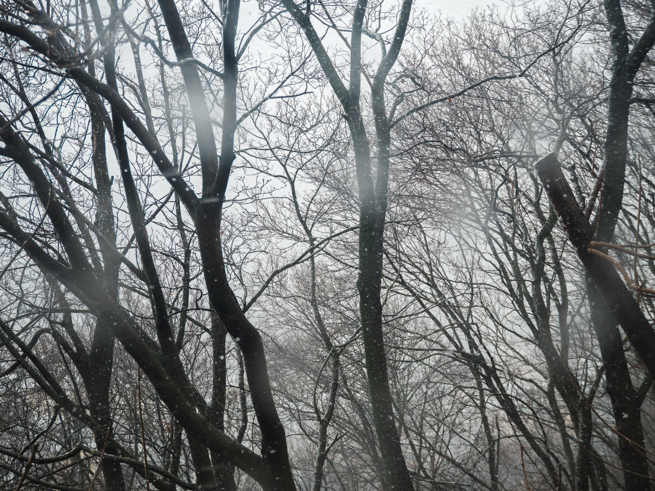 20190327_152004.jpg