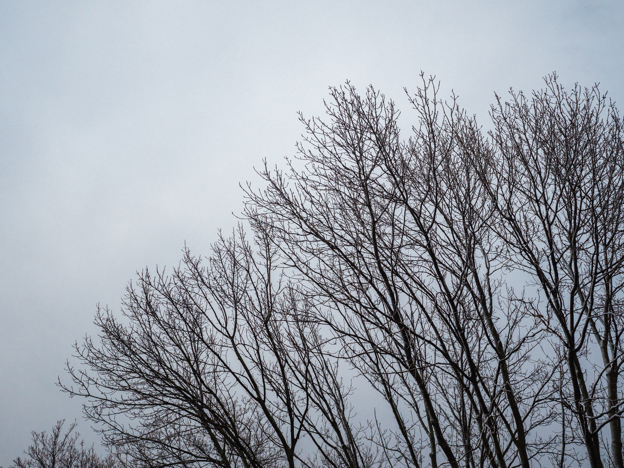 20190327_154844.jpg