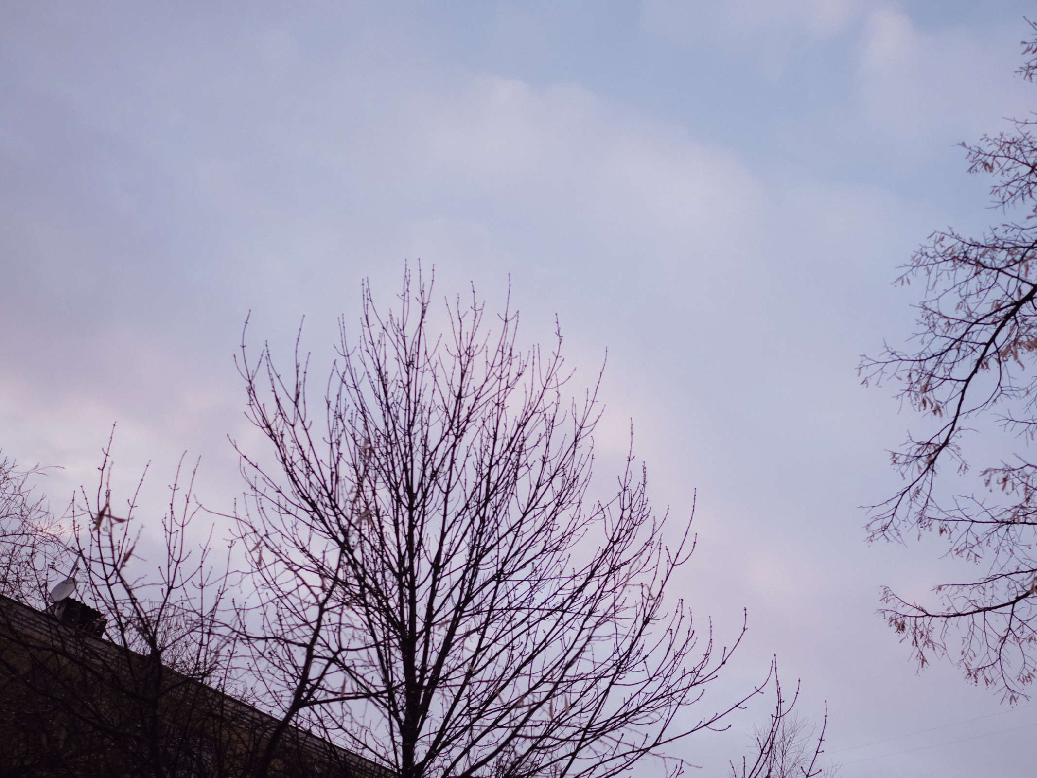 20190327_180743.jpg