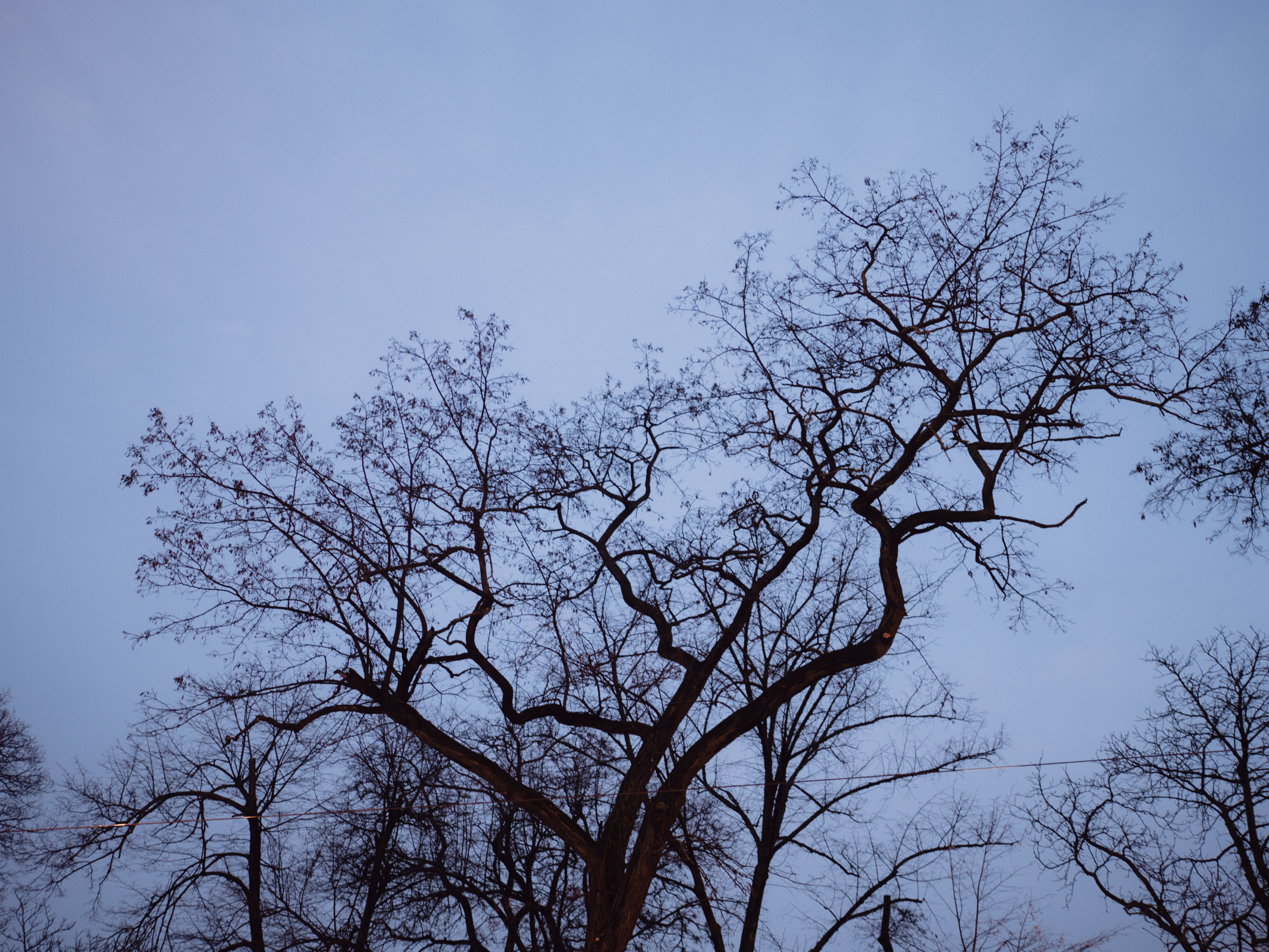 20190327_184625.jpg