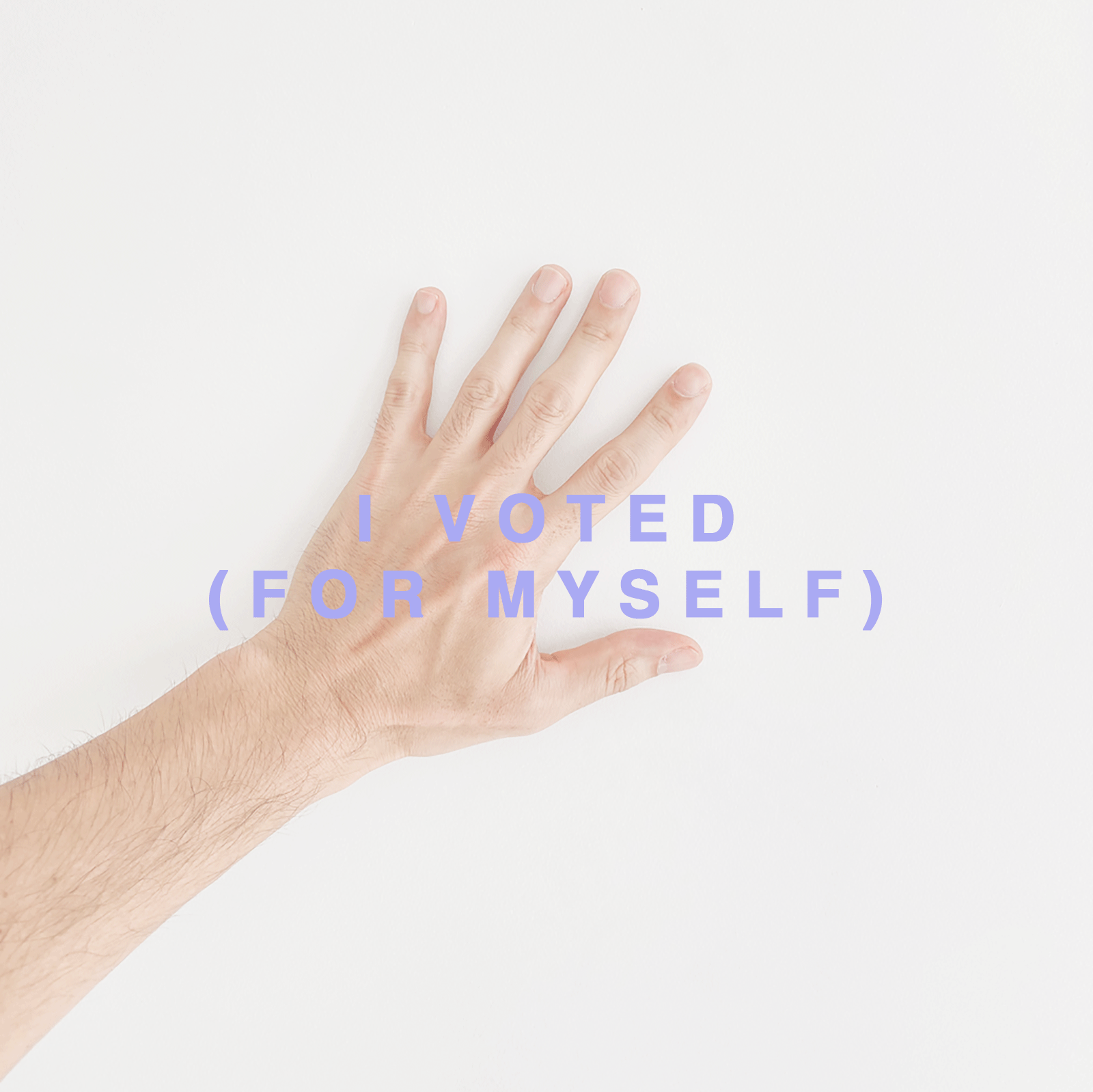 I Voted (for Myself)