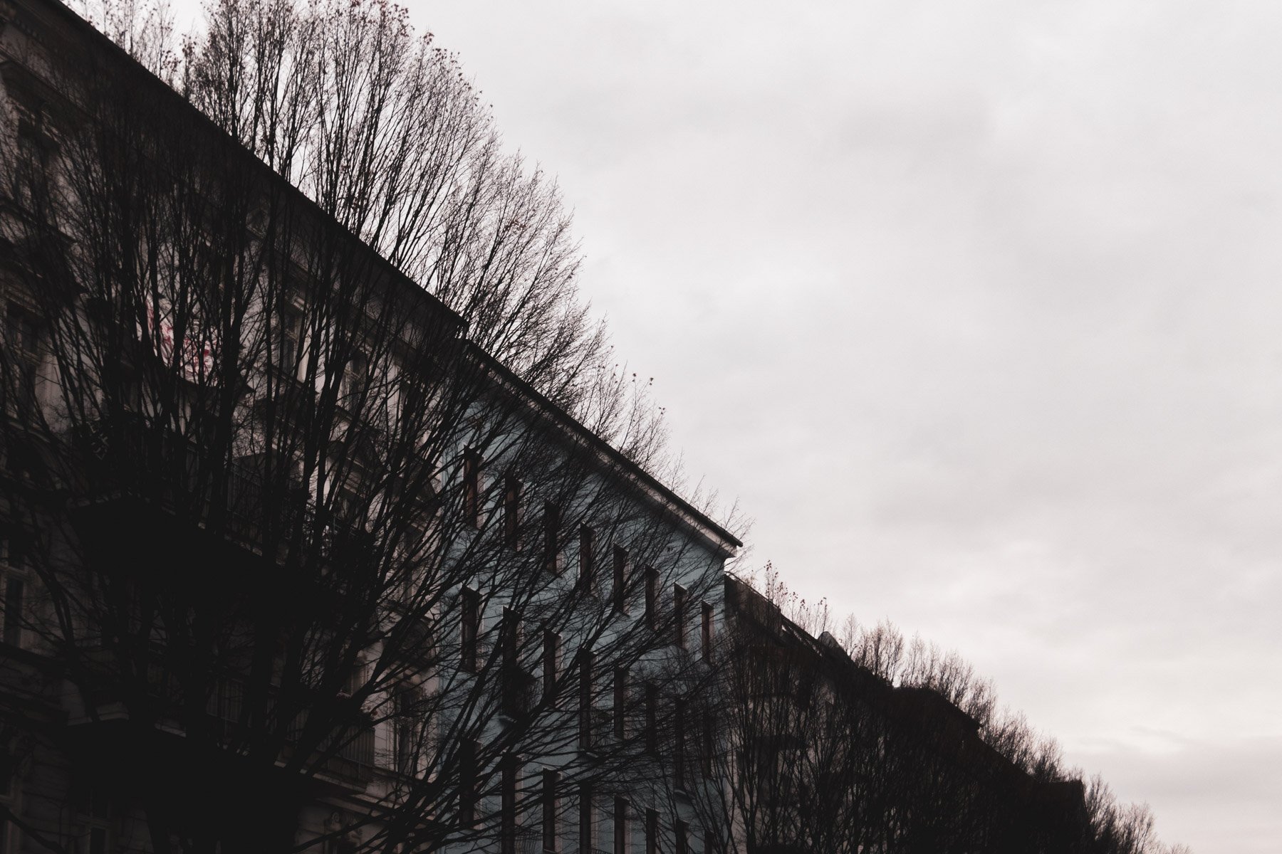 20201220-154041.jpg