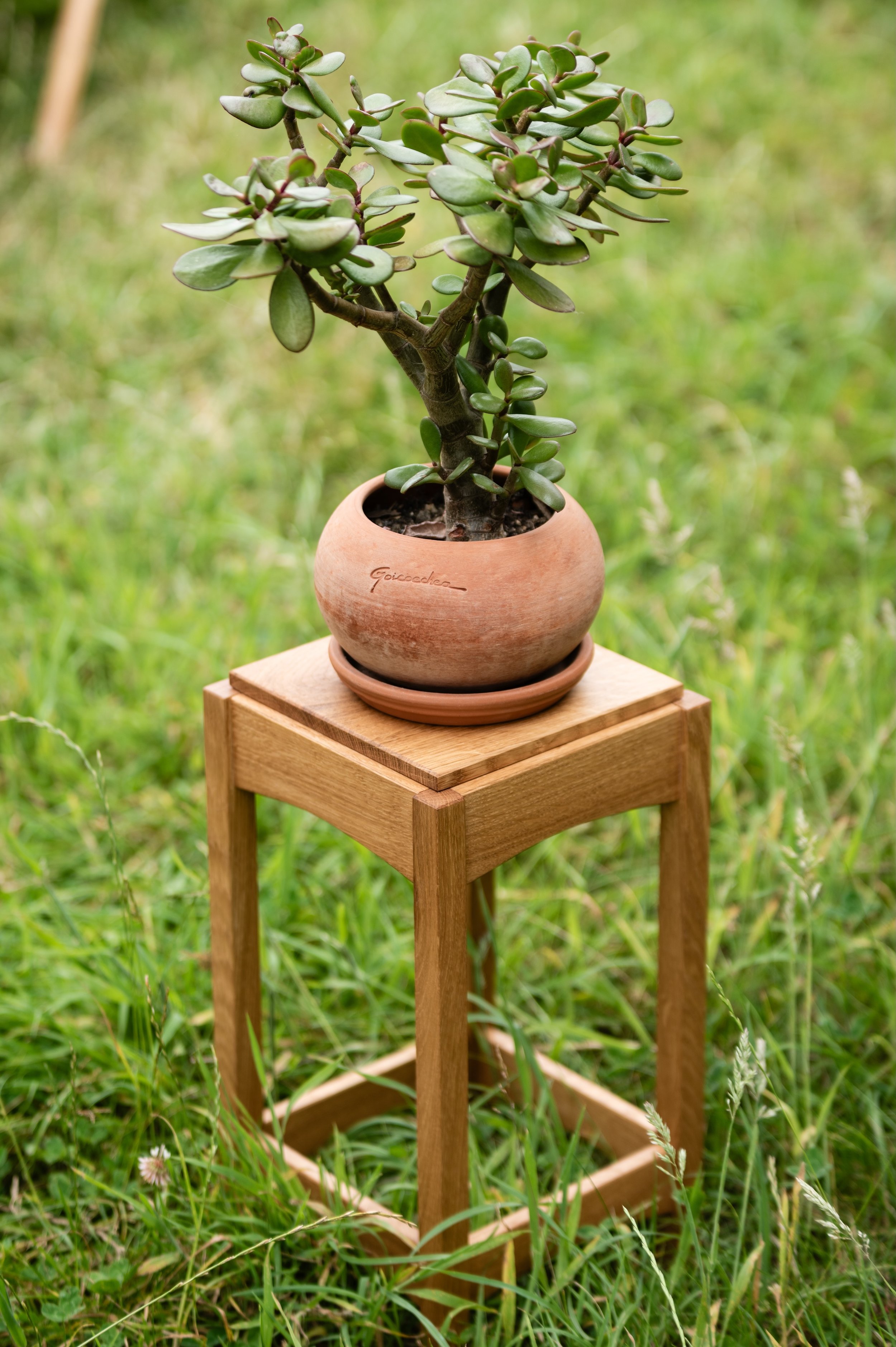 photo 4.jpg