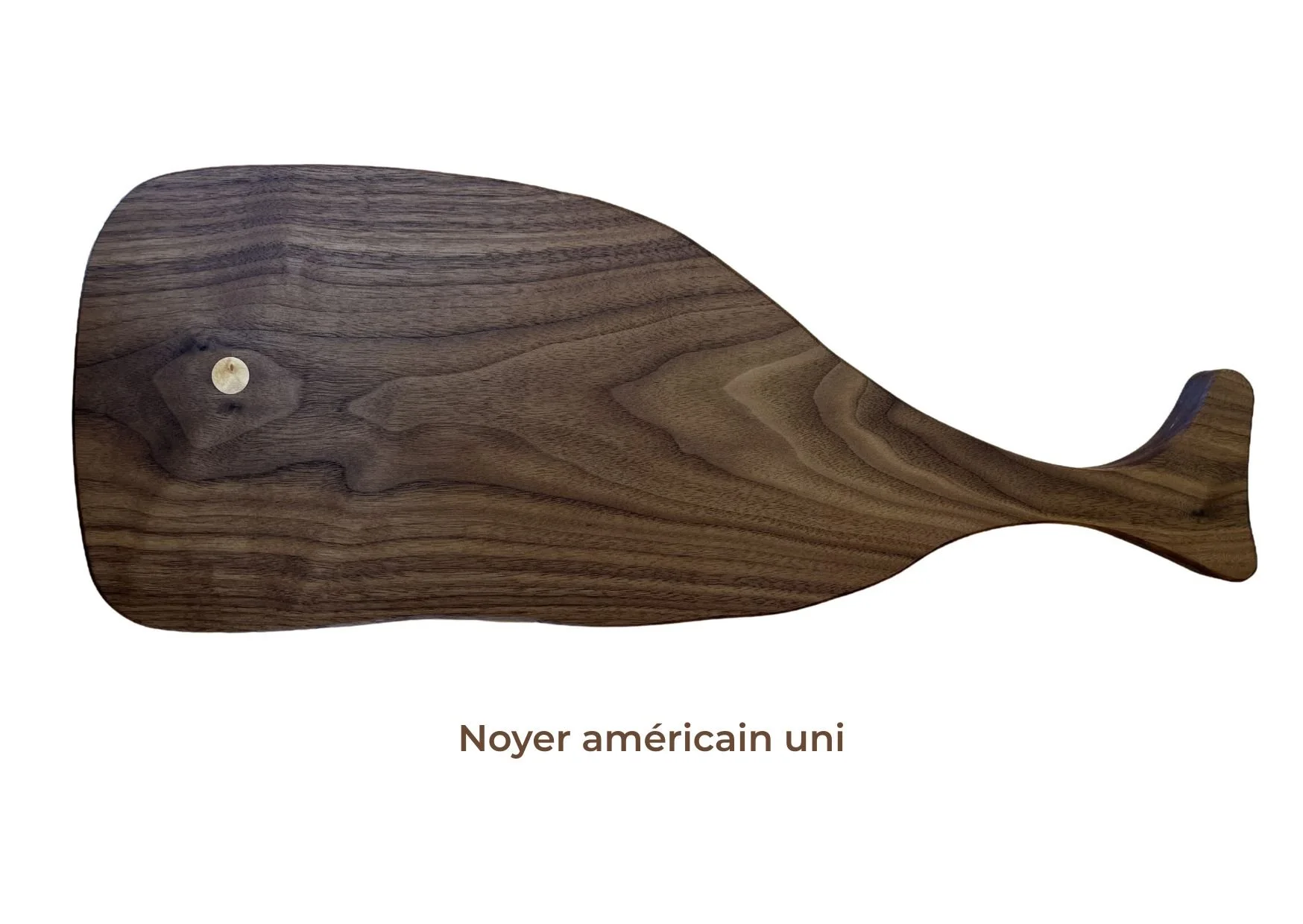 Cachalot-noyerUS-uni.jpg