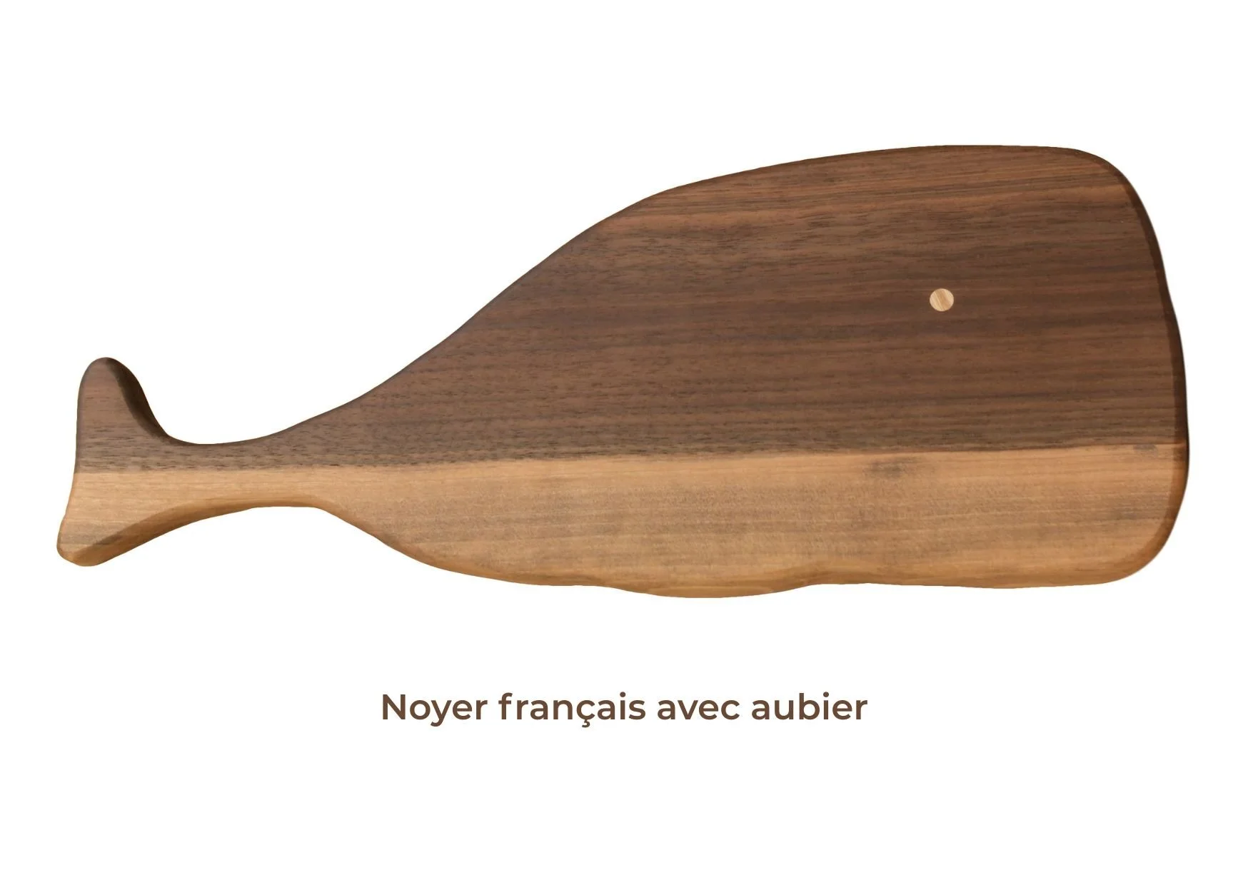 Cachalot-noyerFR-aubier.jpg
