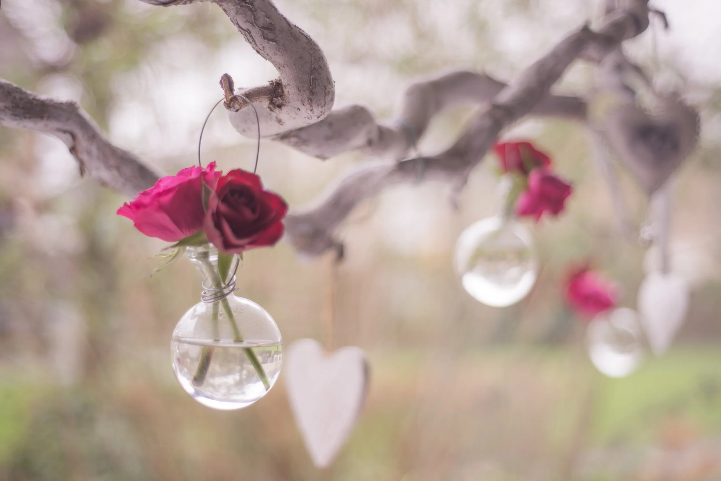 14th-celebrate-day-of-love-47396.jpg