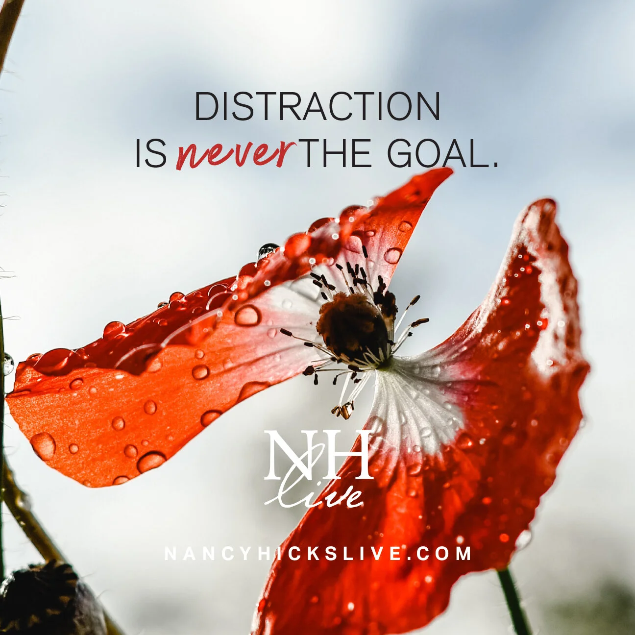 Distraction is Never the Goal