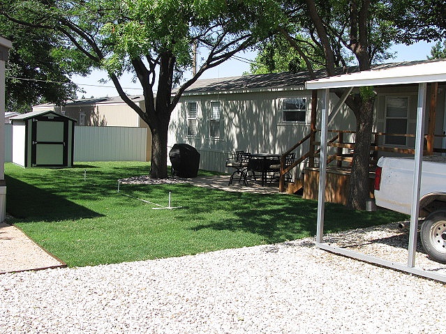 Beautiful sod yard