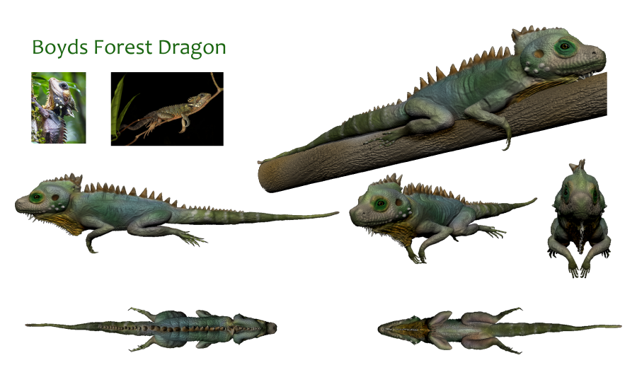 I modeled, textured, and colored this lizard in ZBrush. It is a crested lizard that lives in Australian Rainforests.