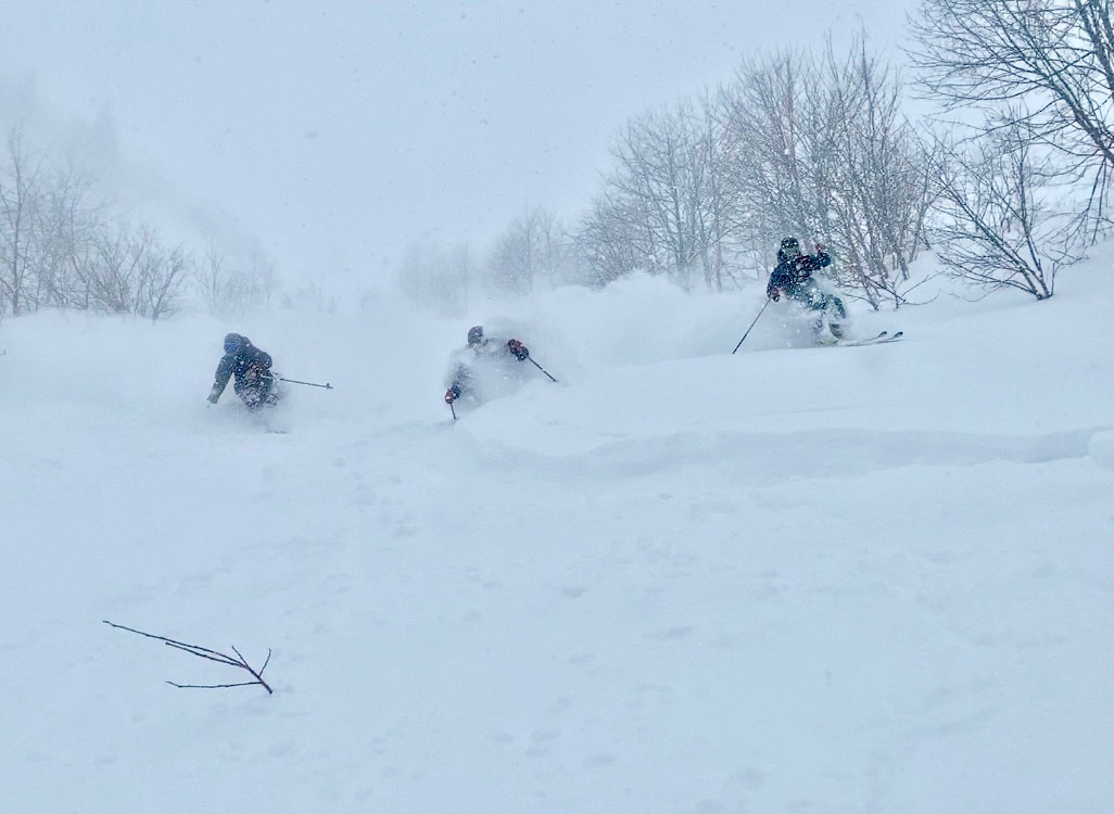 POWDER FOR ALL