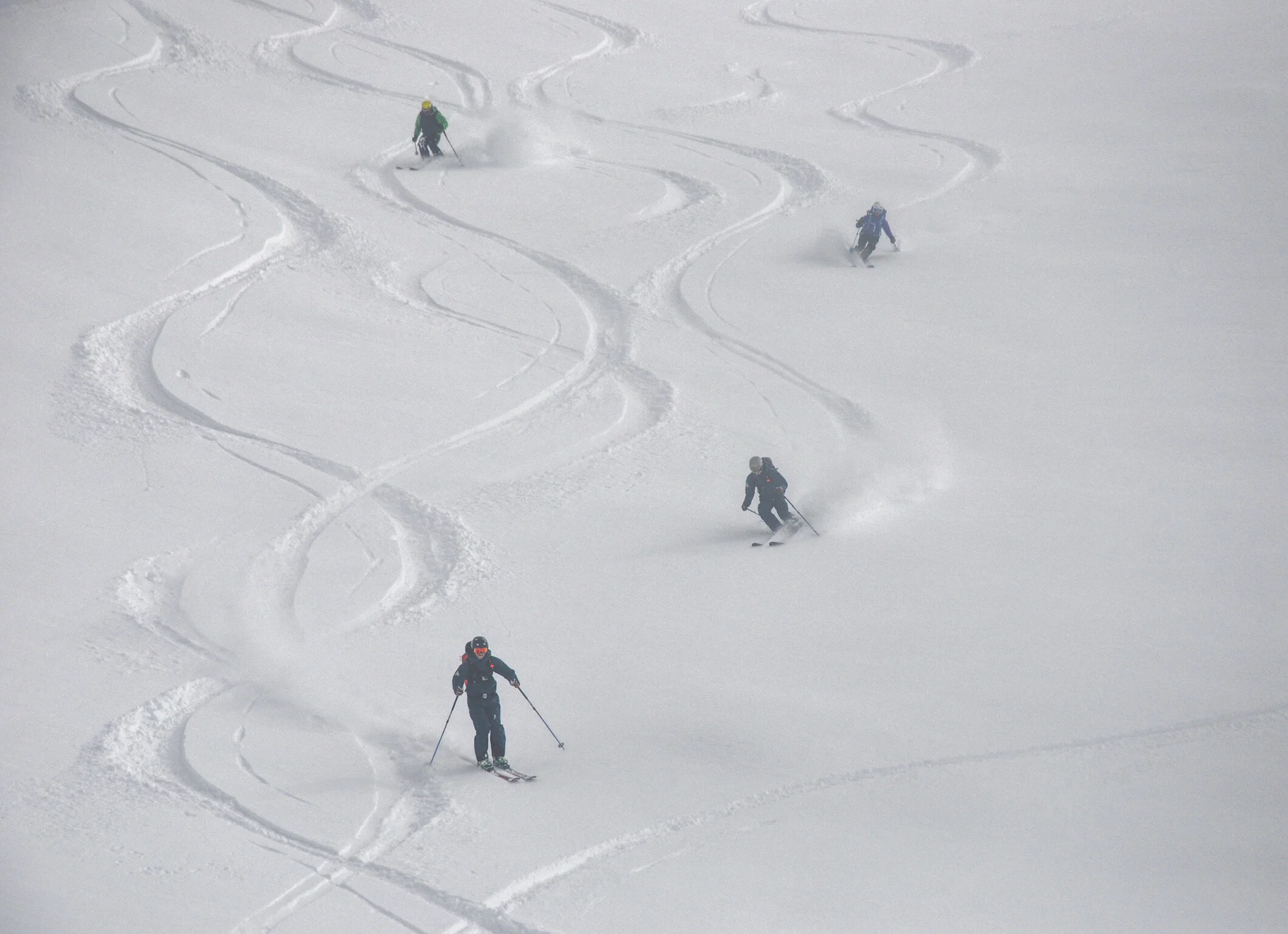 Group powder.jpg