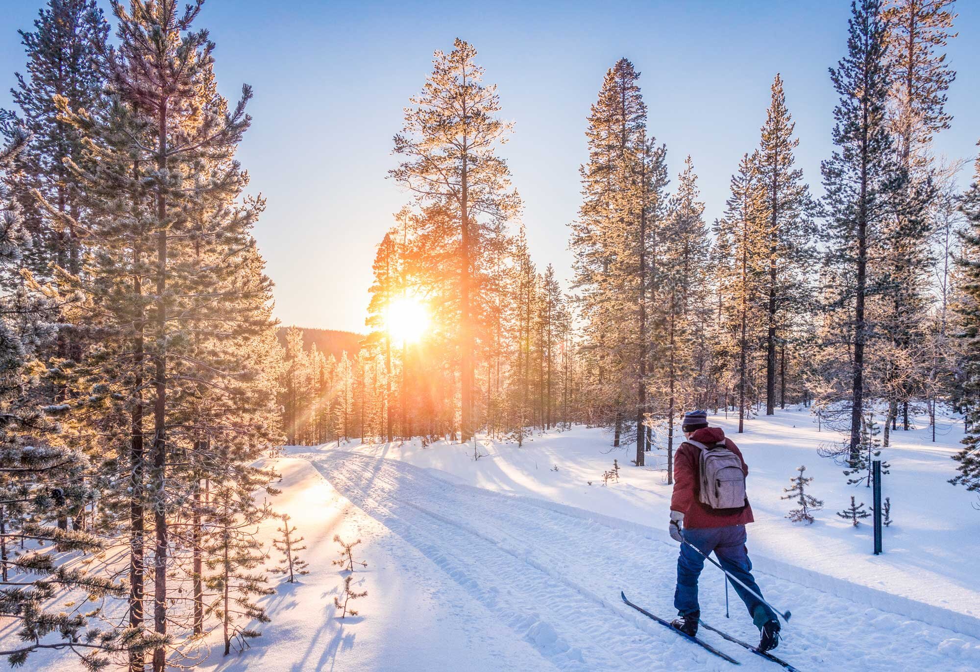 Nordic_Skiing_Hero.jpg