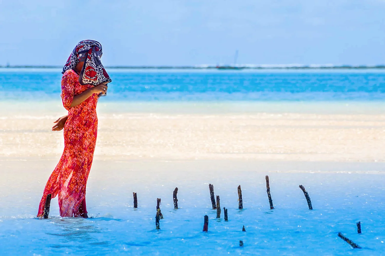 Raccoglitrice di alghe - Jambiani Zanzibar