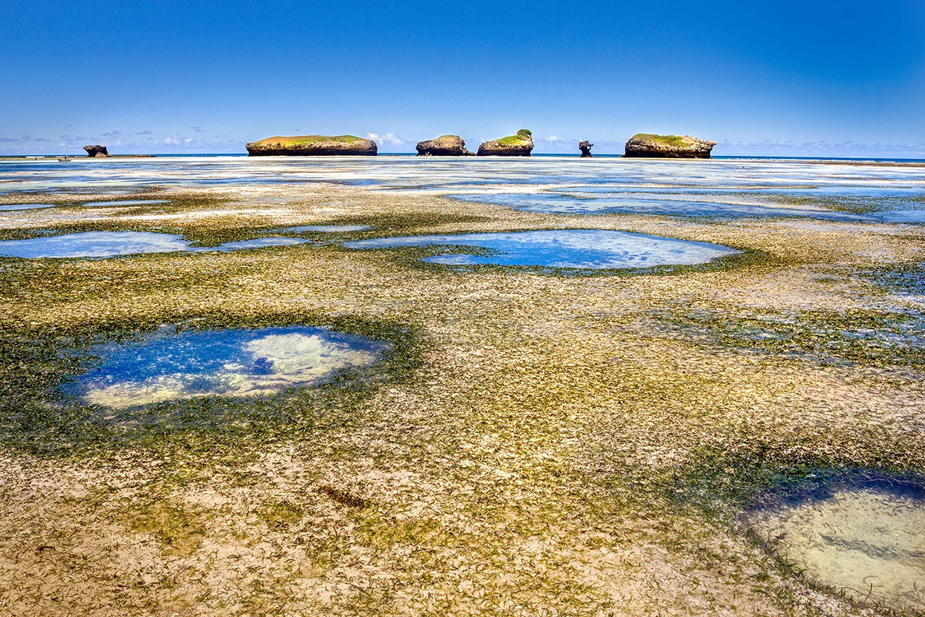 Watamu - bassa marea