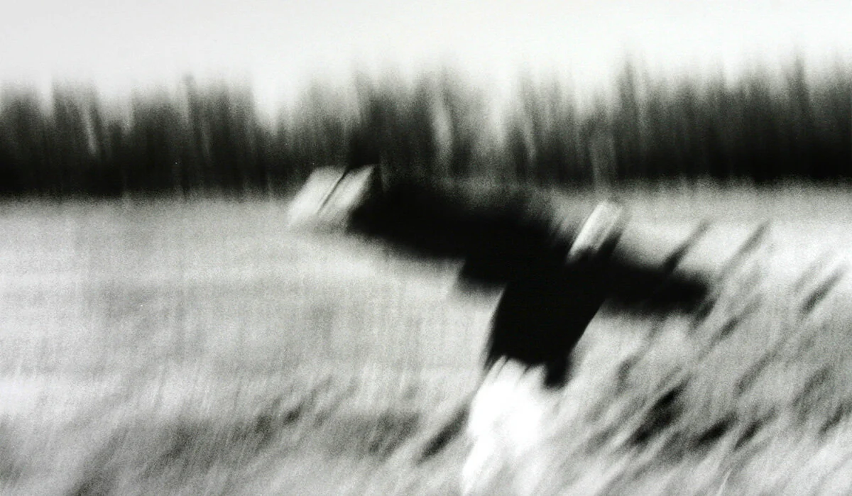 06R001-17.jpg