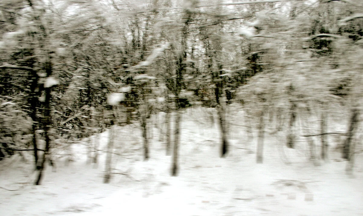 DT 032A.jpg