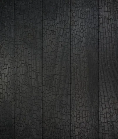 black charred timber cladding 3.jpg
