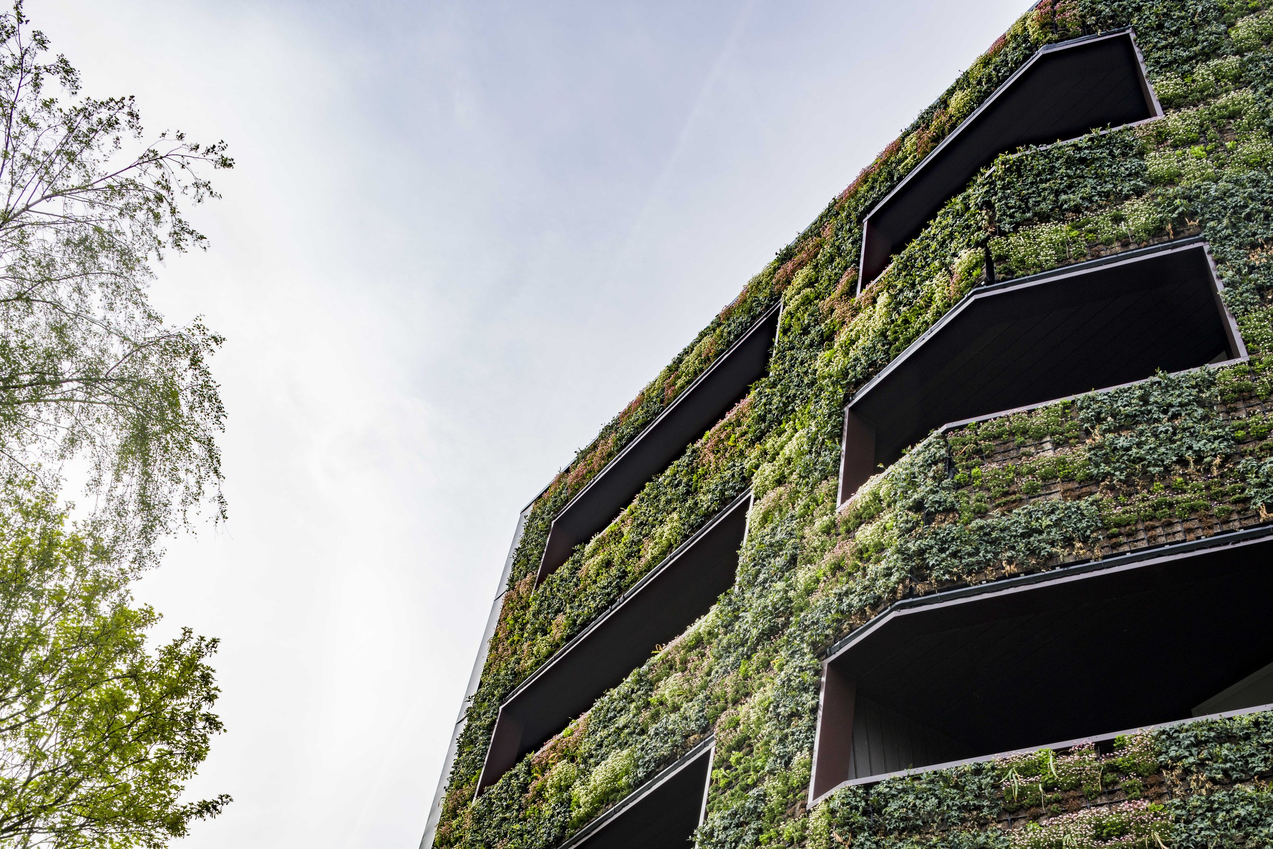 Grosvenor_Image 15.jpg