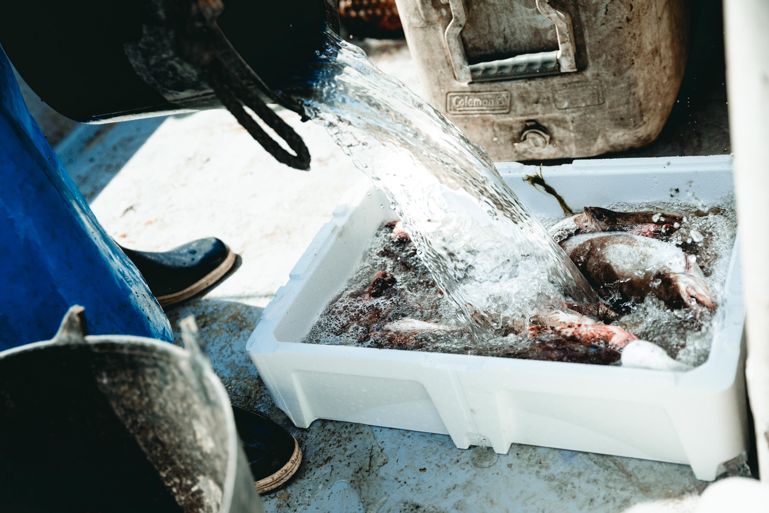 Jean Sebastien Ray Palavas -17.jpg