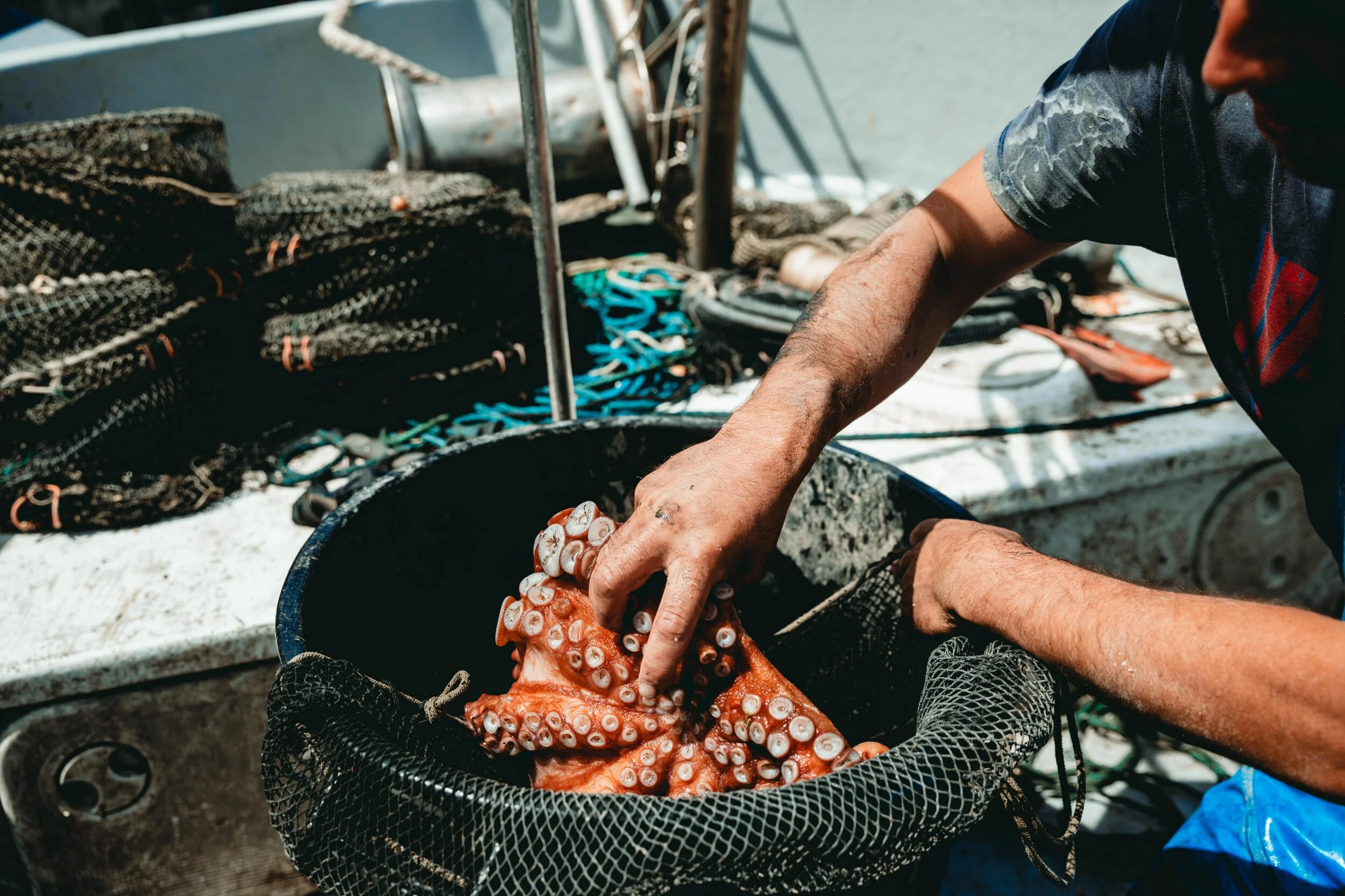 Jean Sebastien Ray Palavas -29.jpg