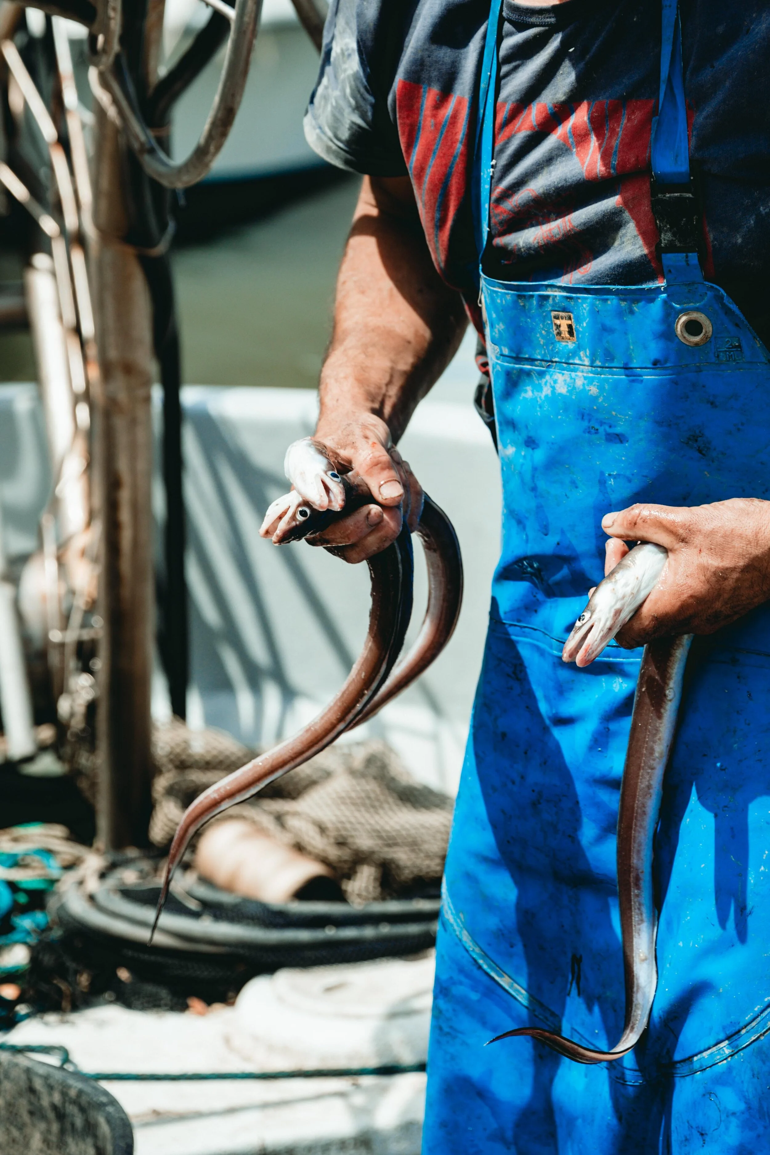 Jean Sebastien Ray Palavas -34.jpg