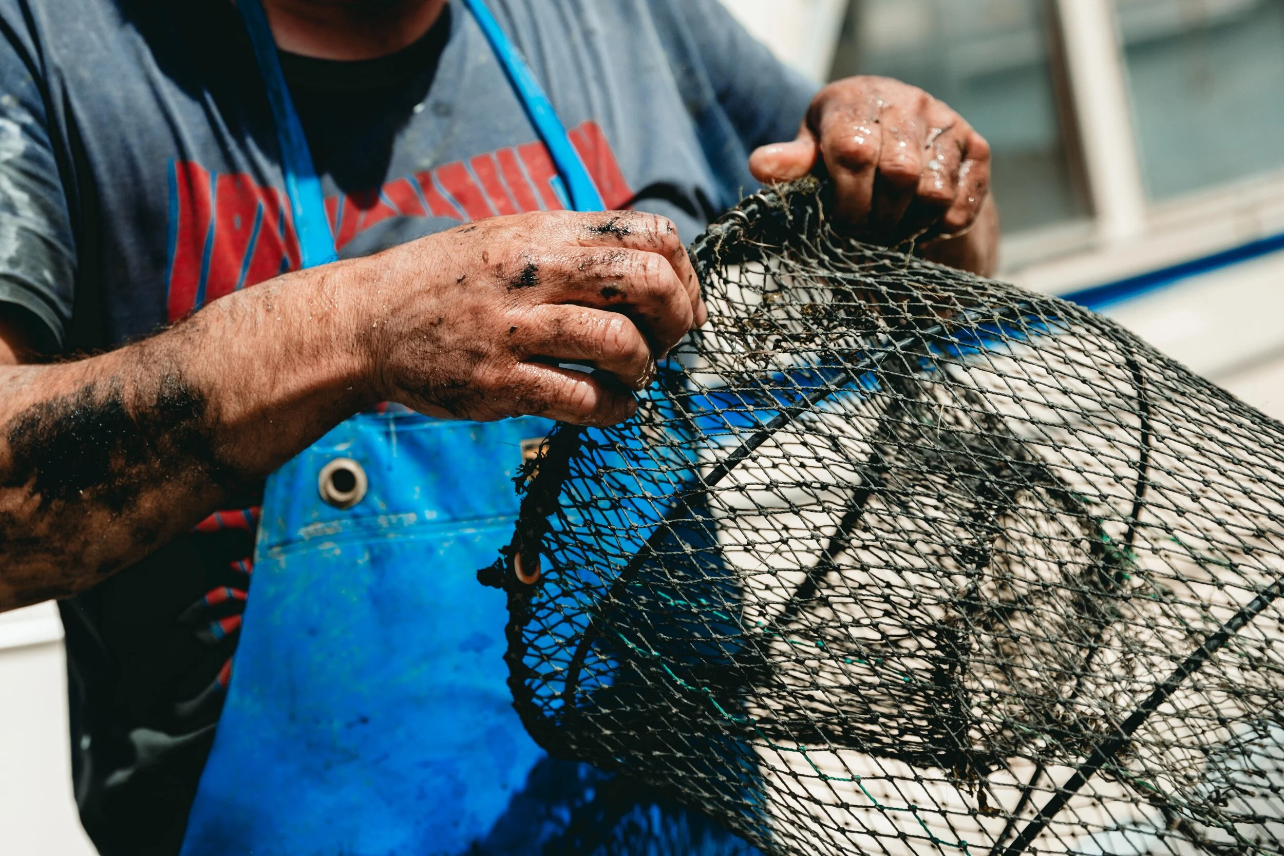 Jean Sebastien Ray Palavas -35.jpg