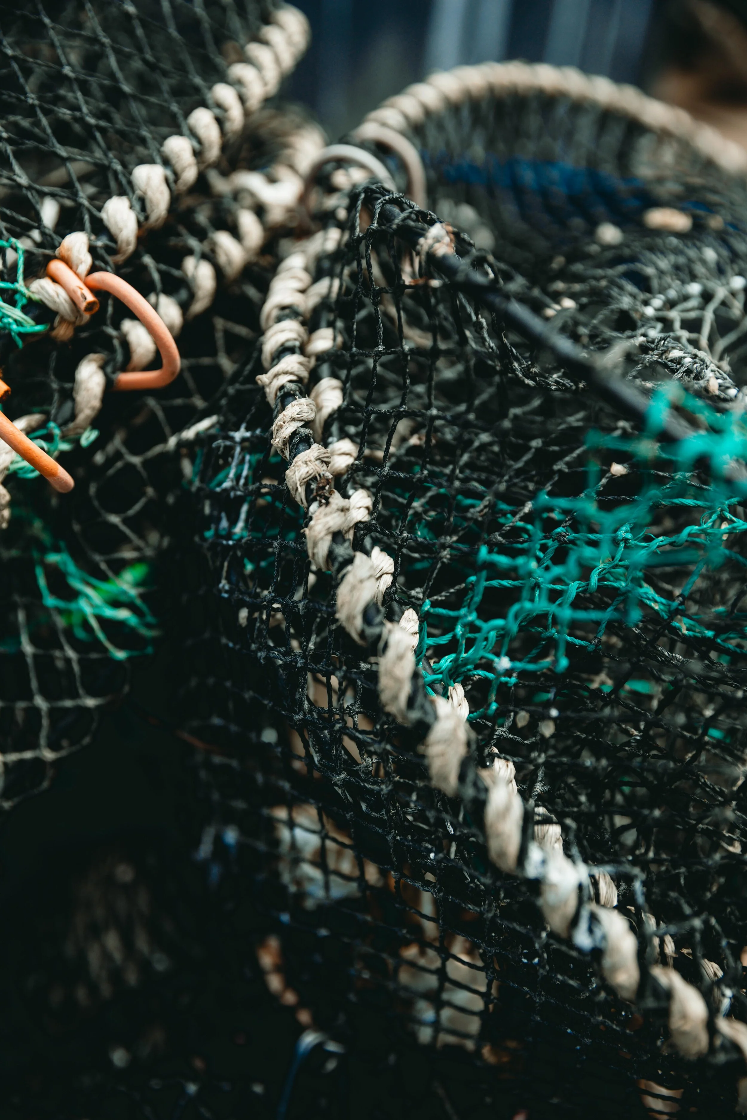 Jean Sebastien Ray Palavas -77.jpg