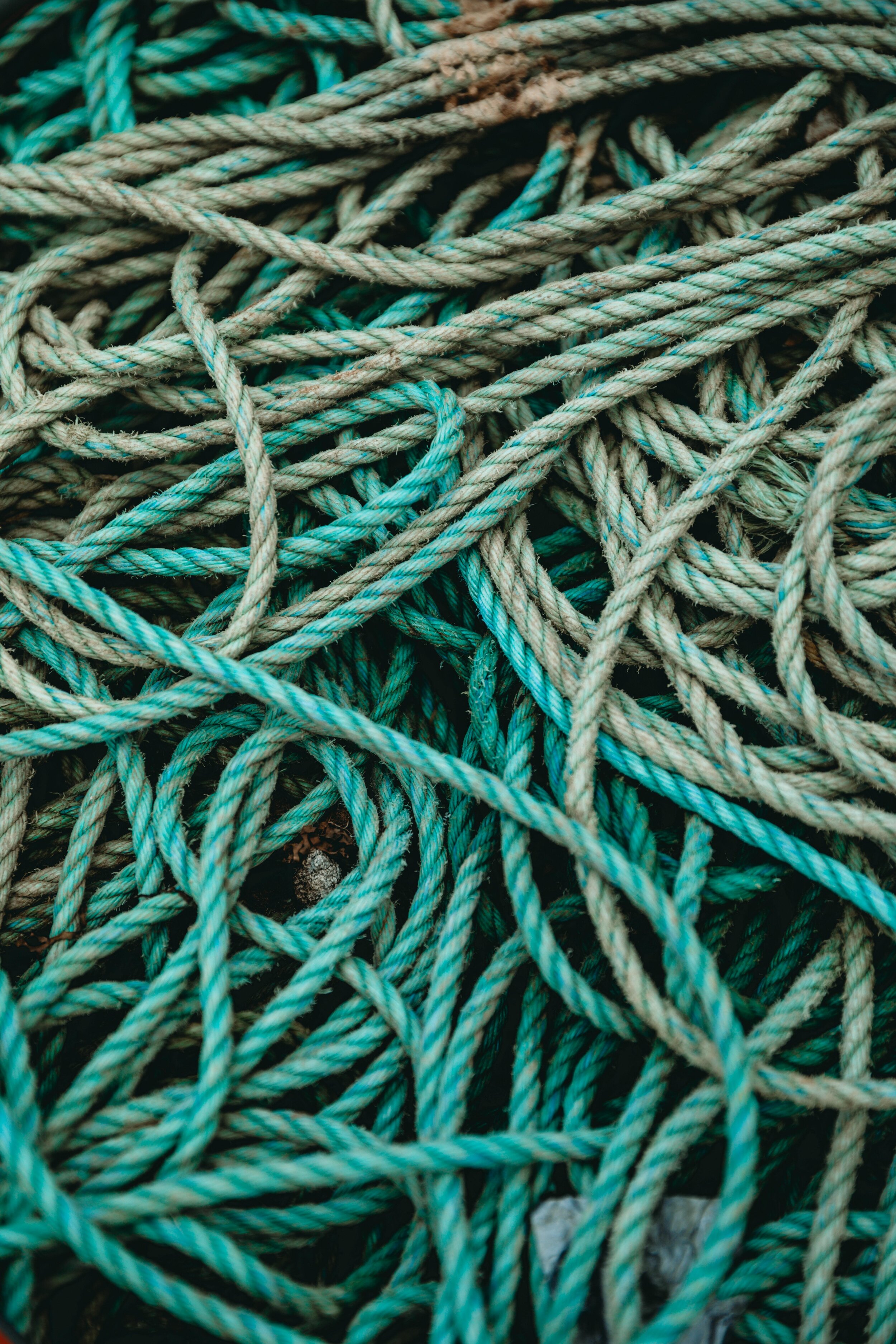 Jean Sebastien Ray Palavas -81.jpg