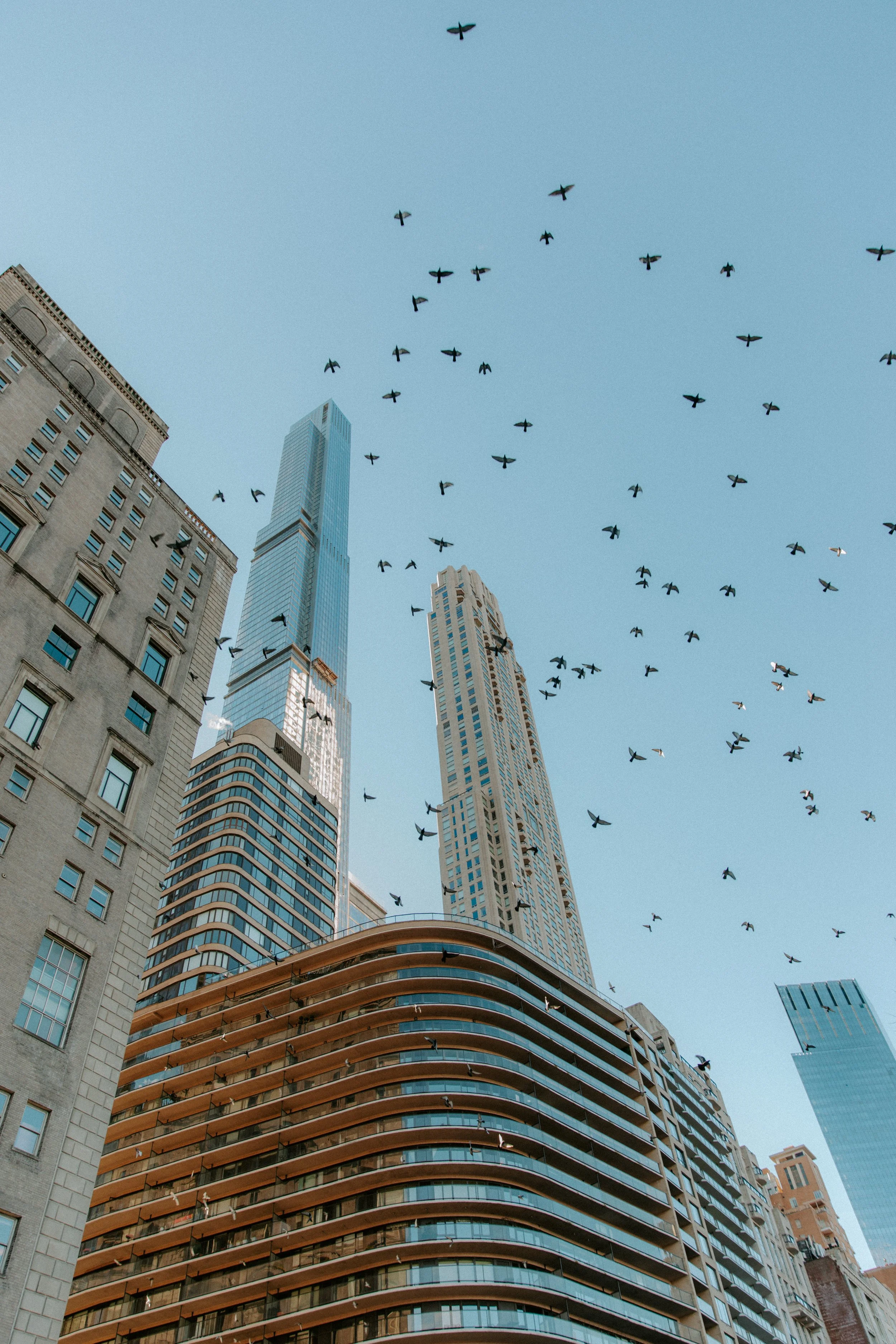 Cinqpoints site - @pelut.charlene -13.jpg