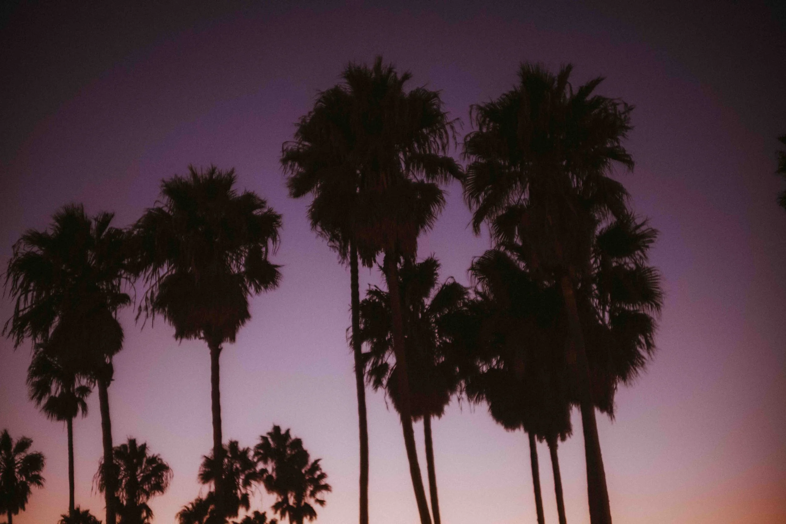 PERSO - @pelut.charlene-203.JPG