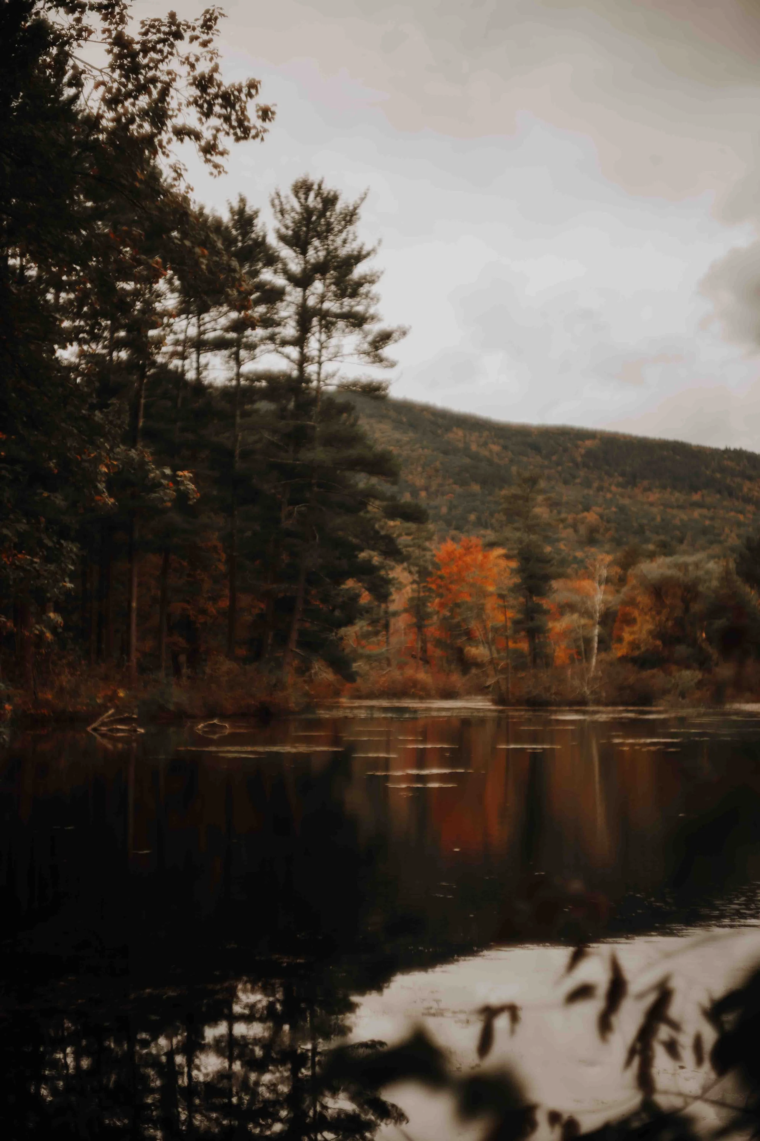 PERSO - @pelut.charlene-238.JPG