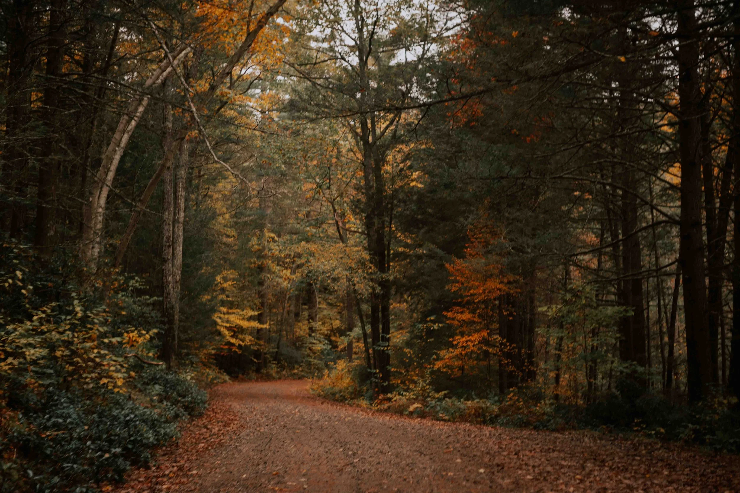 PERSO - @pelut.charlene-265.JPG