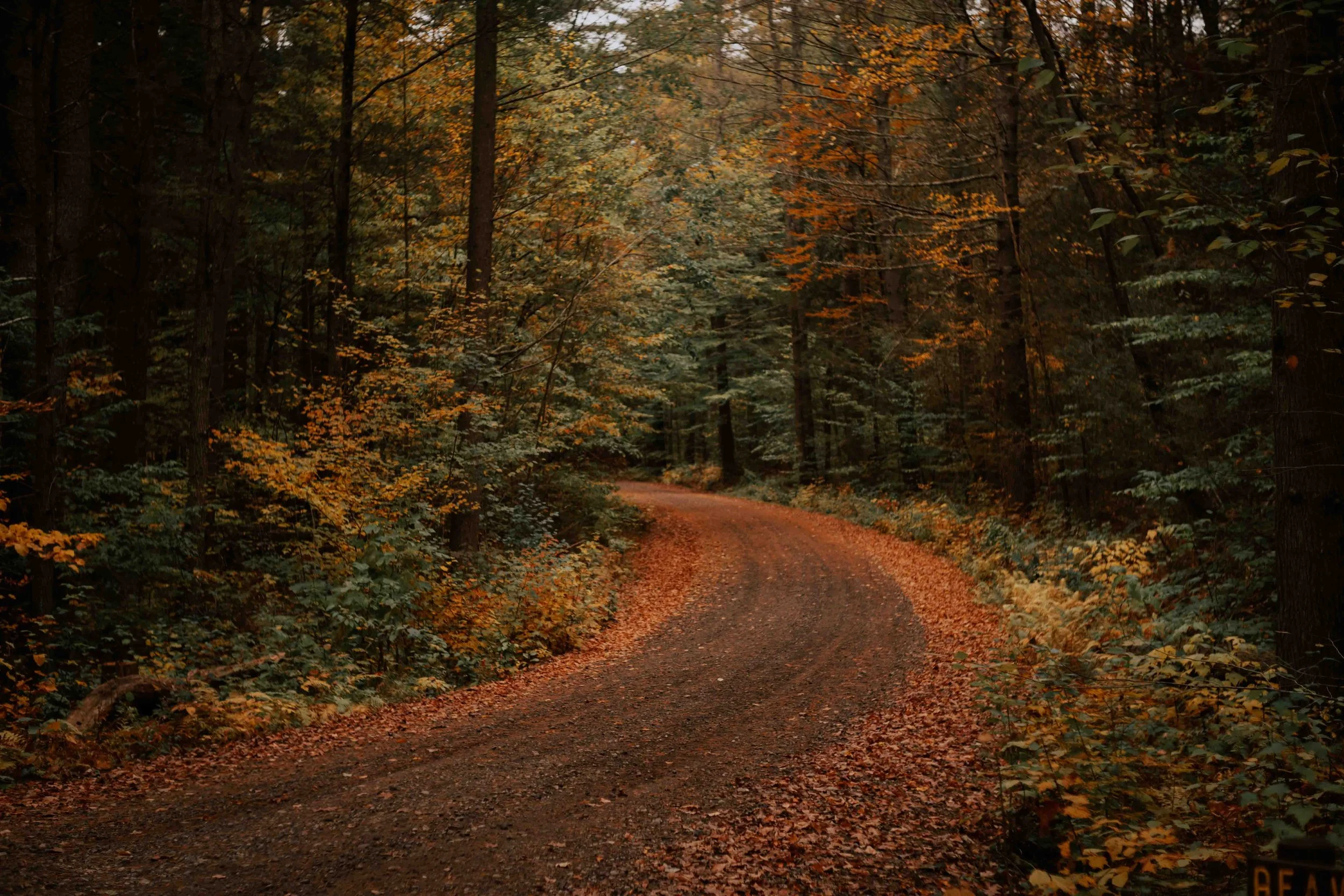 PERSO - @pelut.charlene-267.JPG