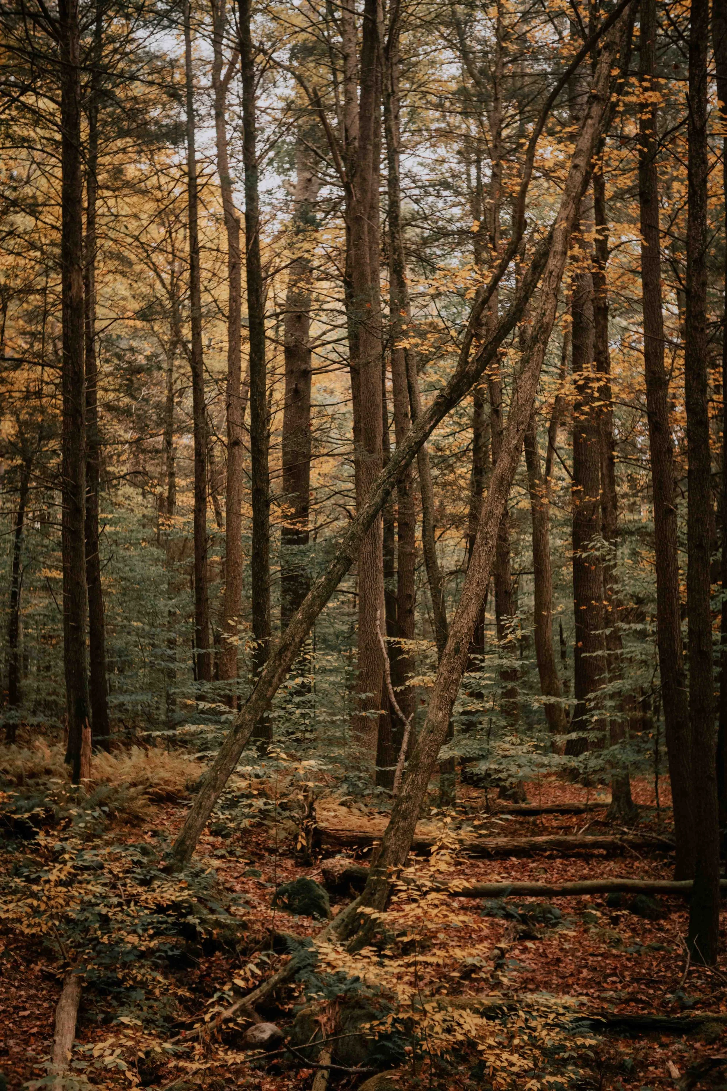 PERSO - @pelut.charlene-272.JPG