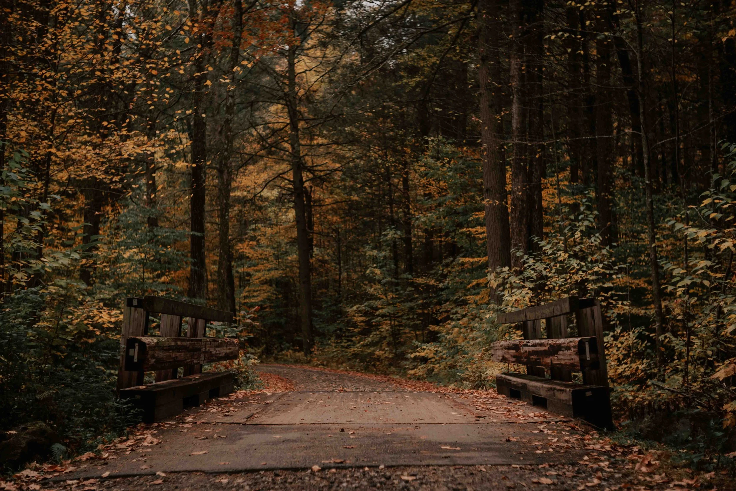 PERSO - @pelut.charlene-274.JPG