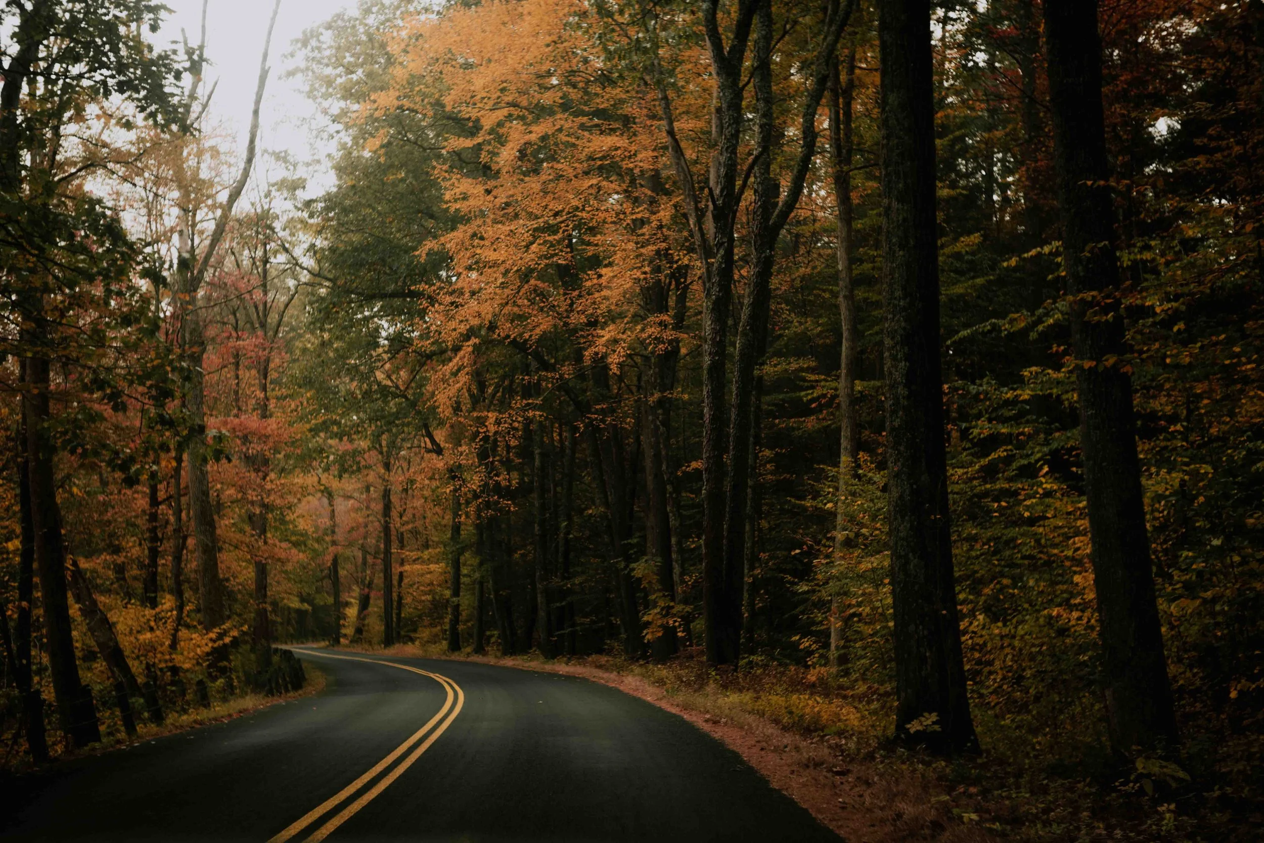 PERSO - @pelut.charlene-276.JPG