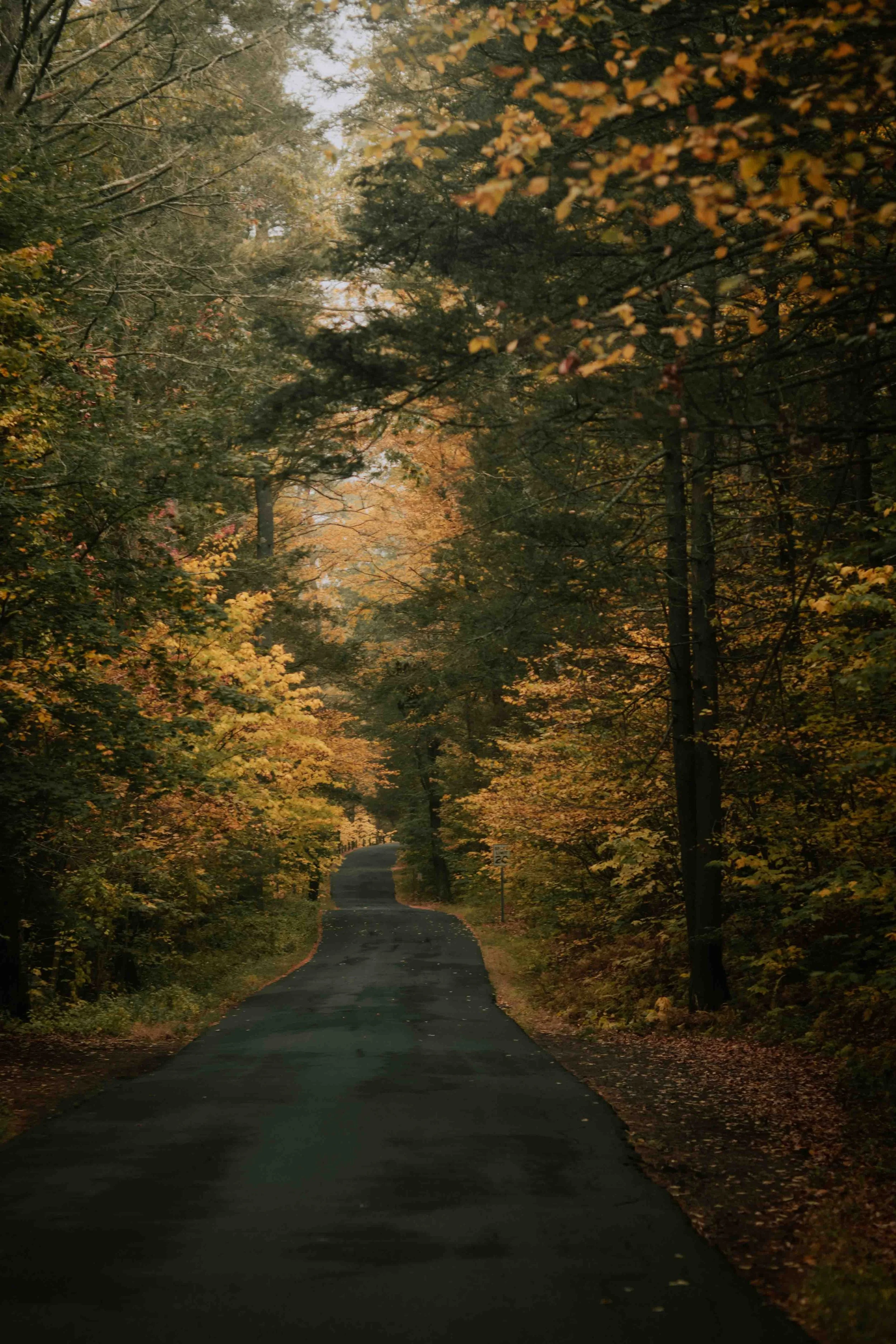 PERSO - @pelut.charlene-281.JPG