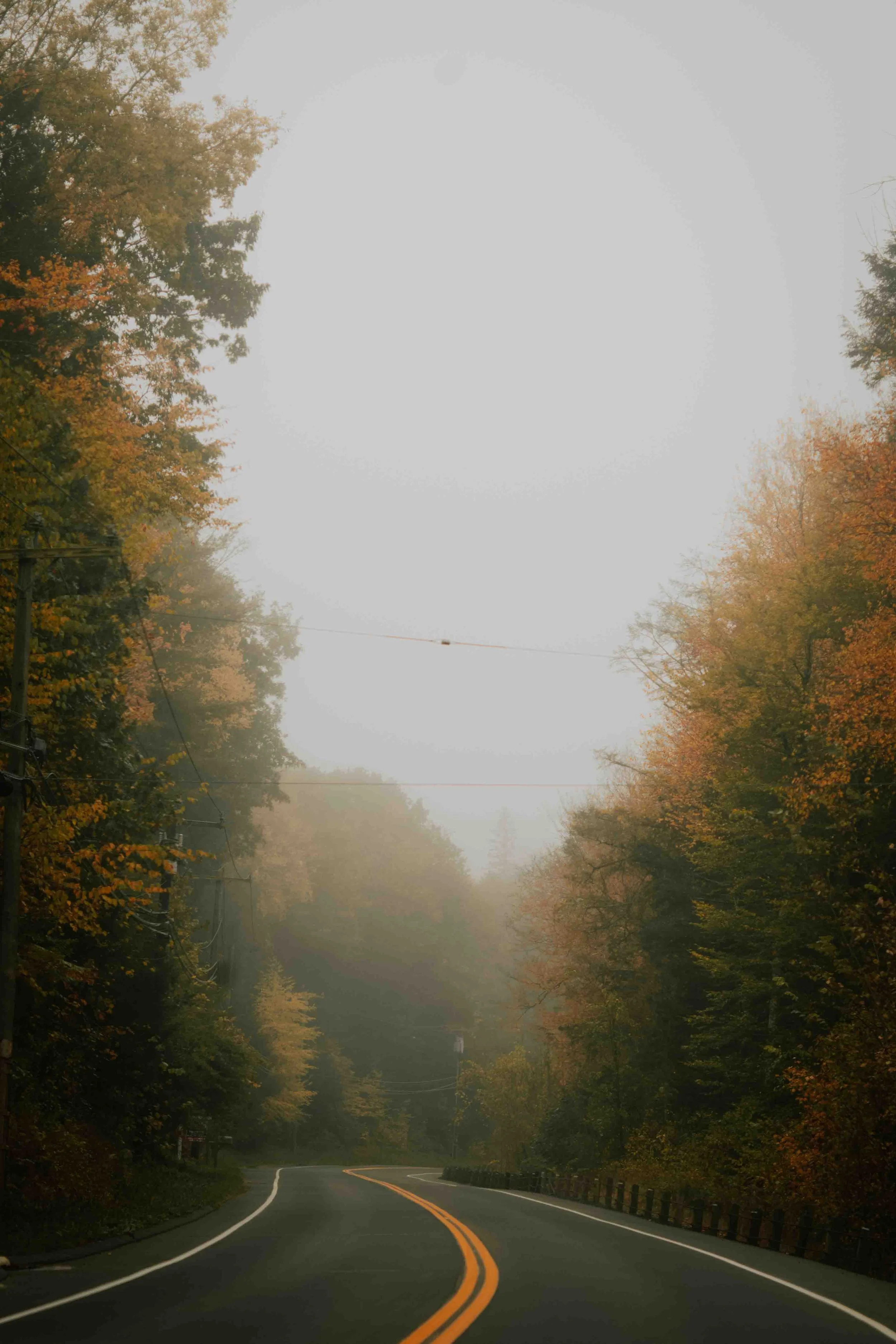 PERSO - @pelut.charlene-283.JPG