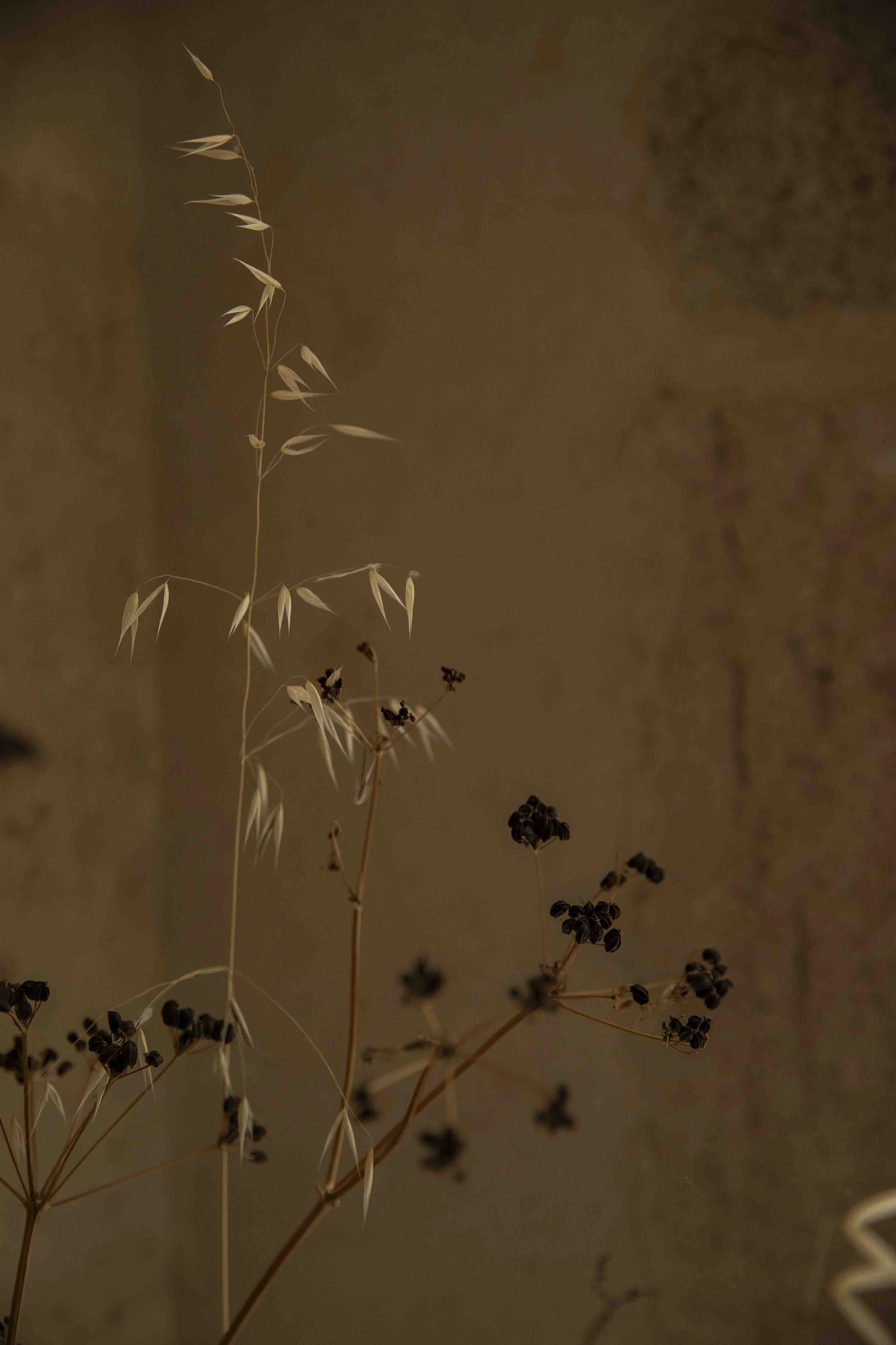 MF - Juin 2024 - @pelut.charlene-7.jpg