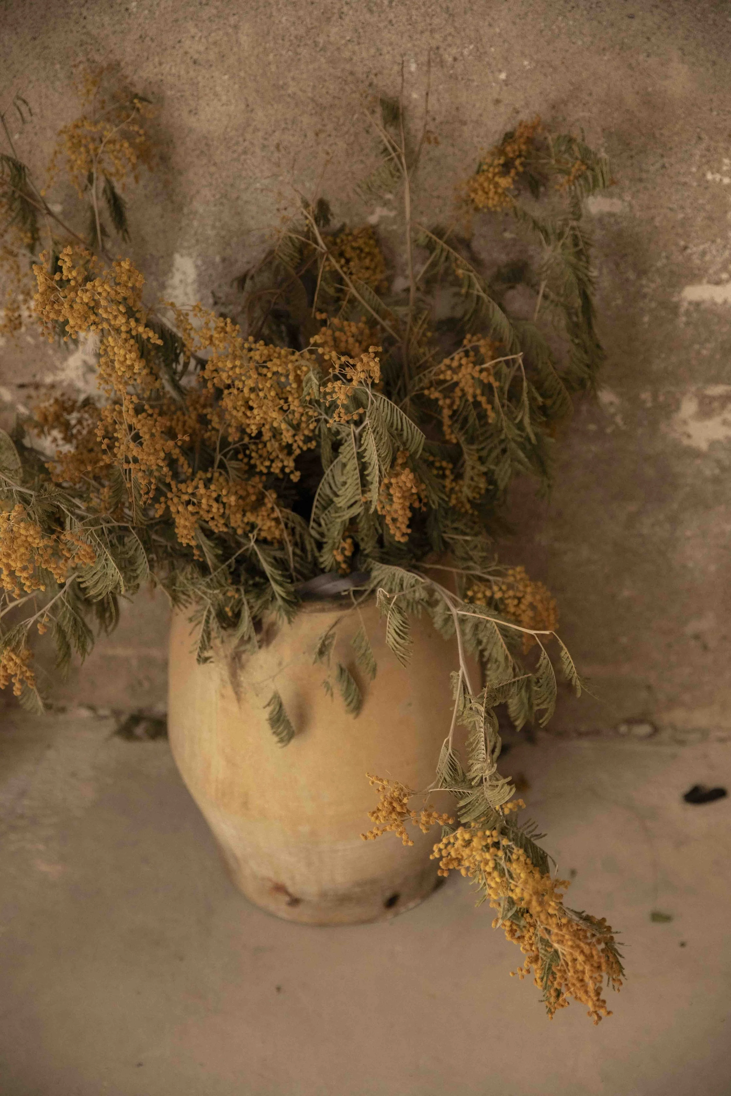 MF - Juin 2024 - @pelut.charlene-8.jpg