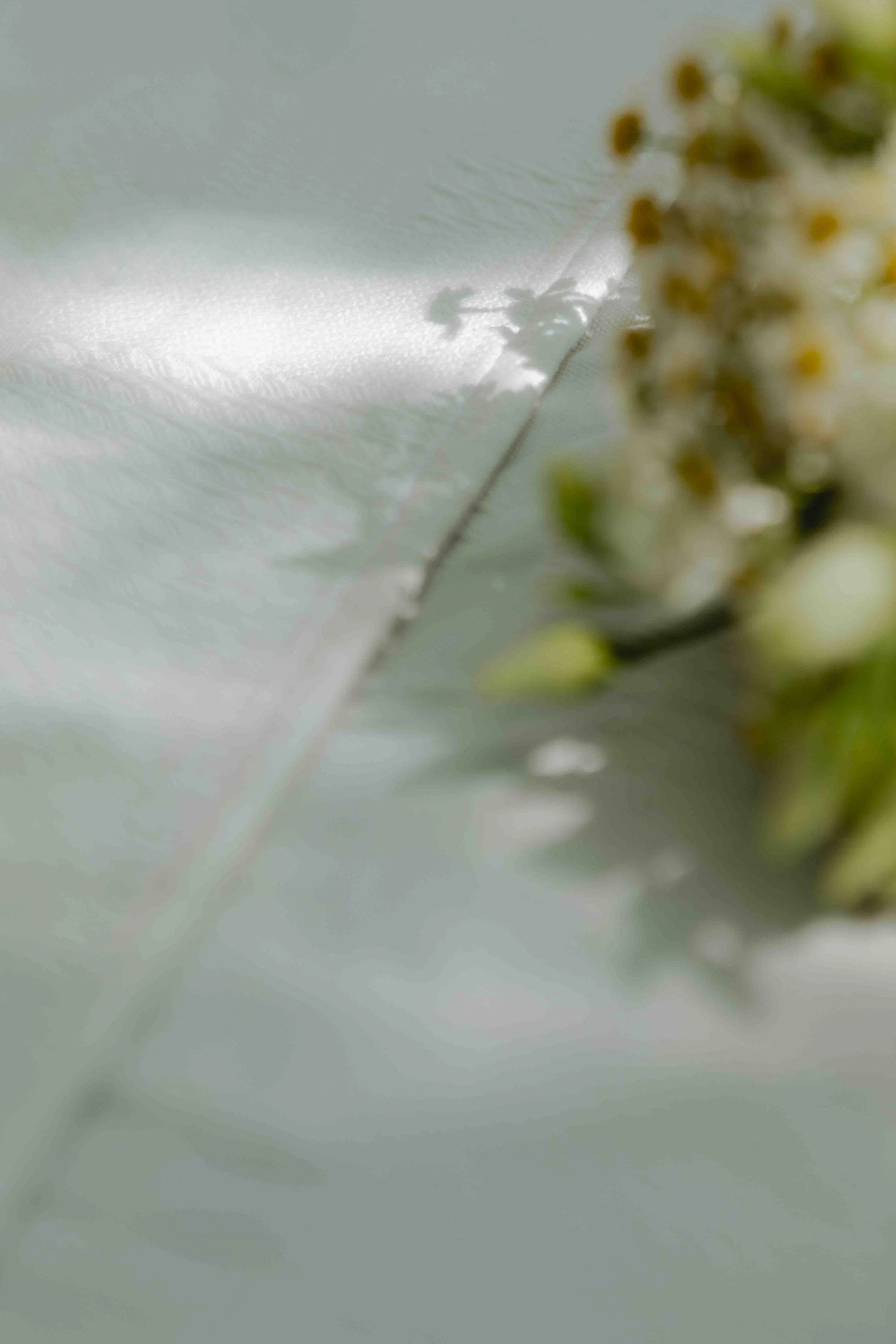 Mariage  civil - Charlotte et Nicolas @pelut.charlene-7.JPG