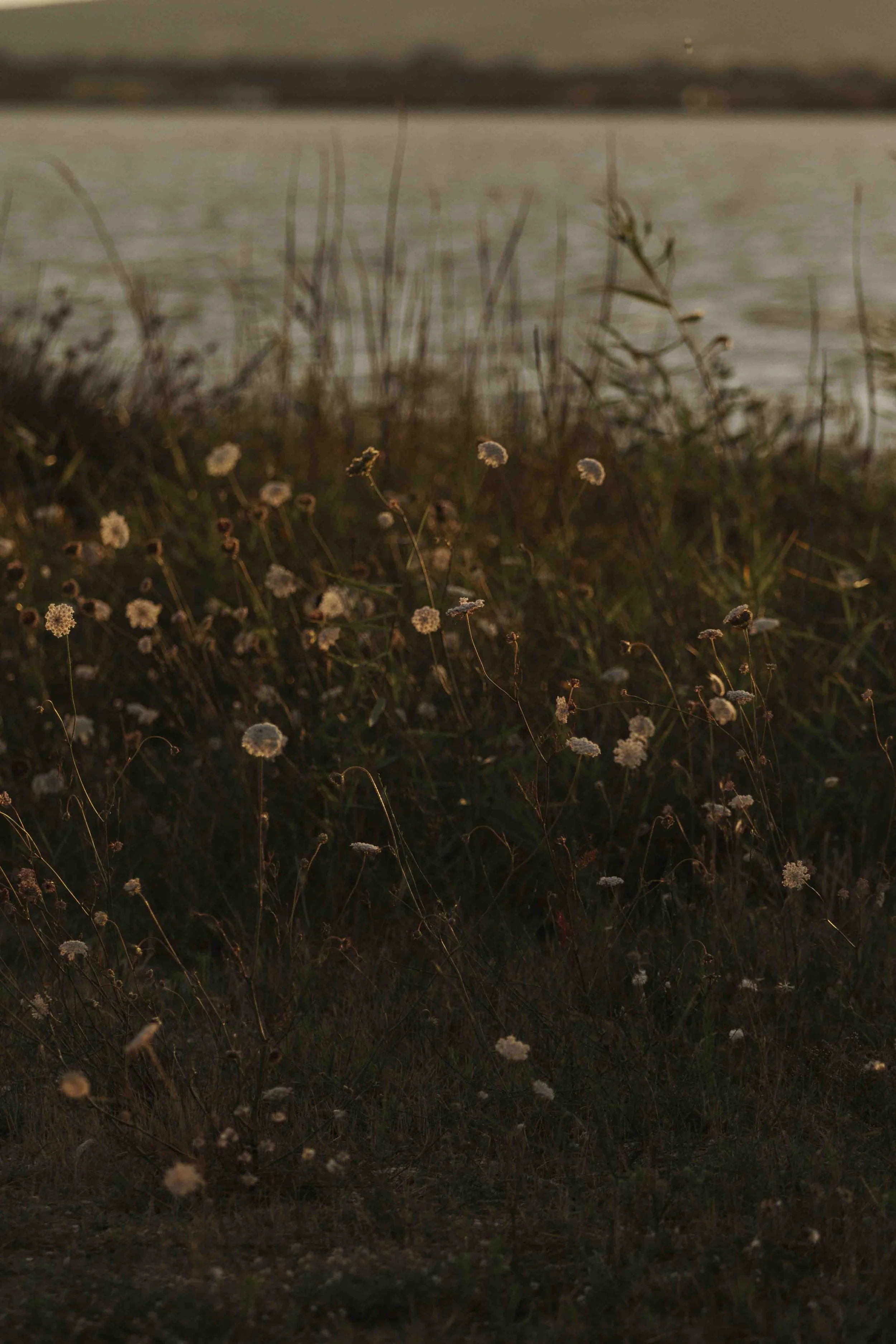 Grossesse Maelle  - @ponthus.nancy-6.jpg