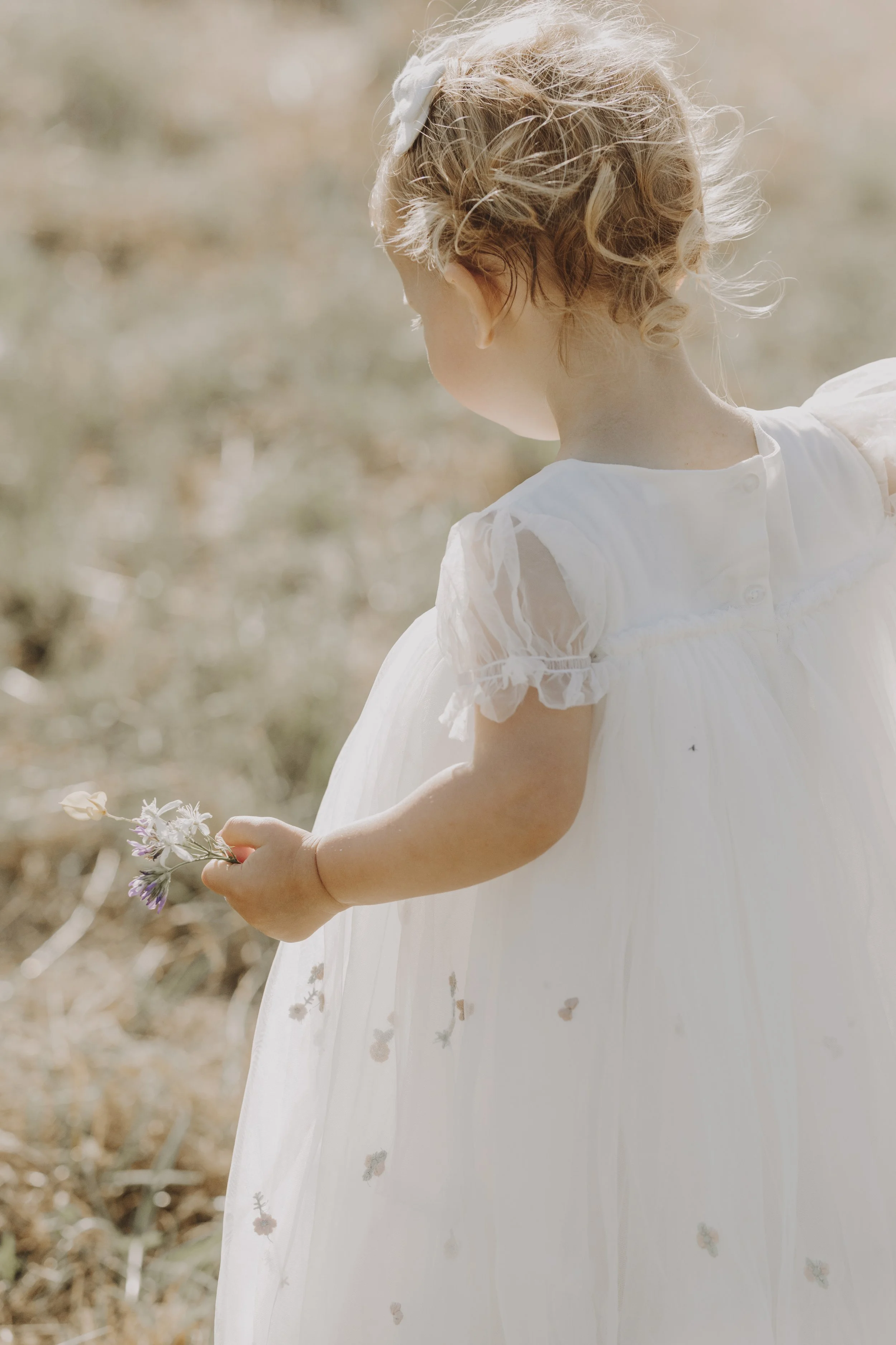 Laura Guillaume et Louison - @bellin.megane-69.jpg