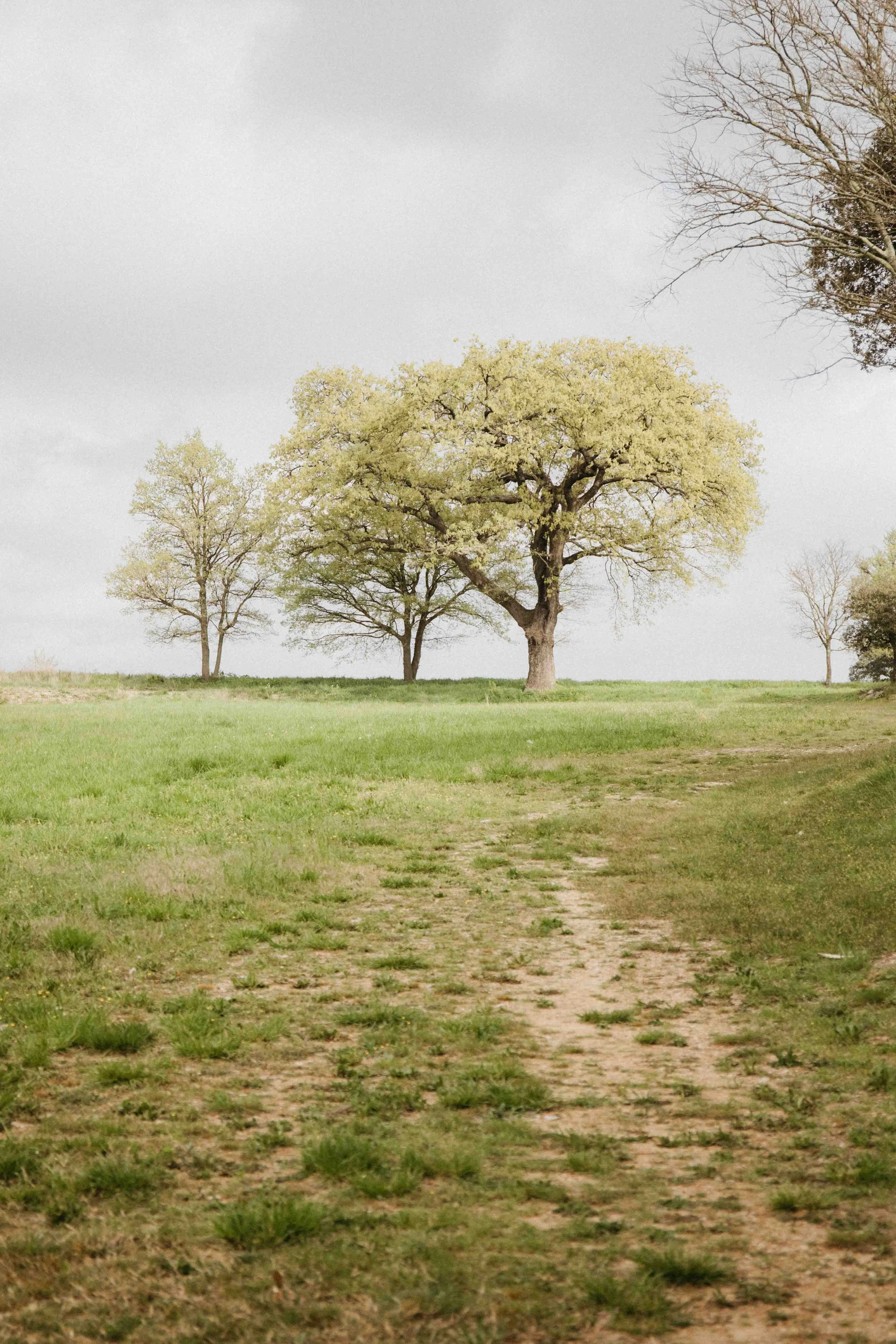 Famille - @bellin.megane _ Charlène Pélut Photographes-3.jpg